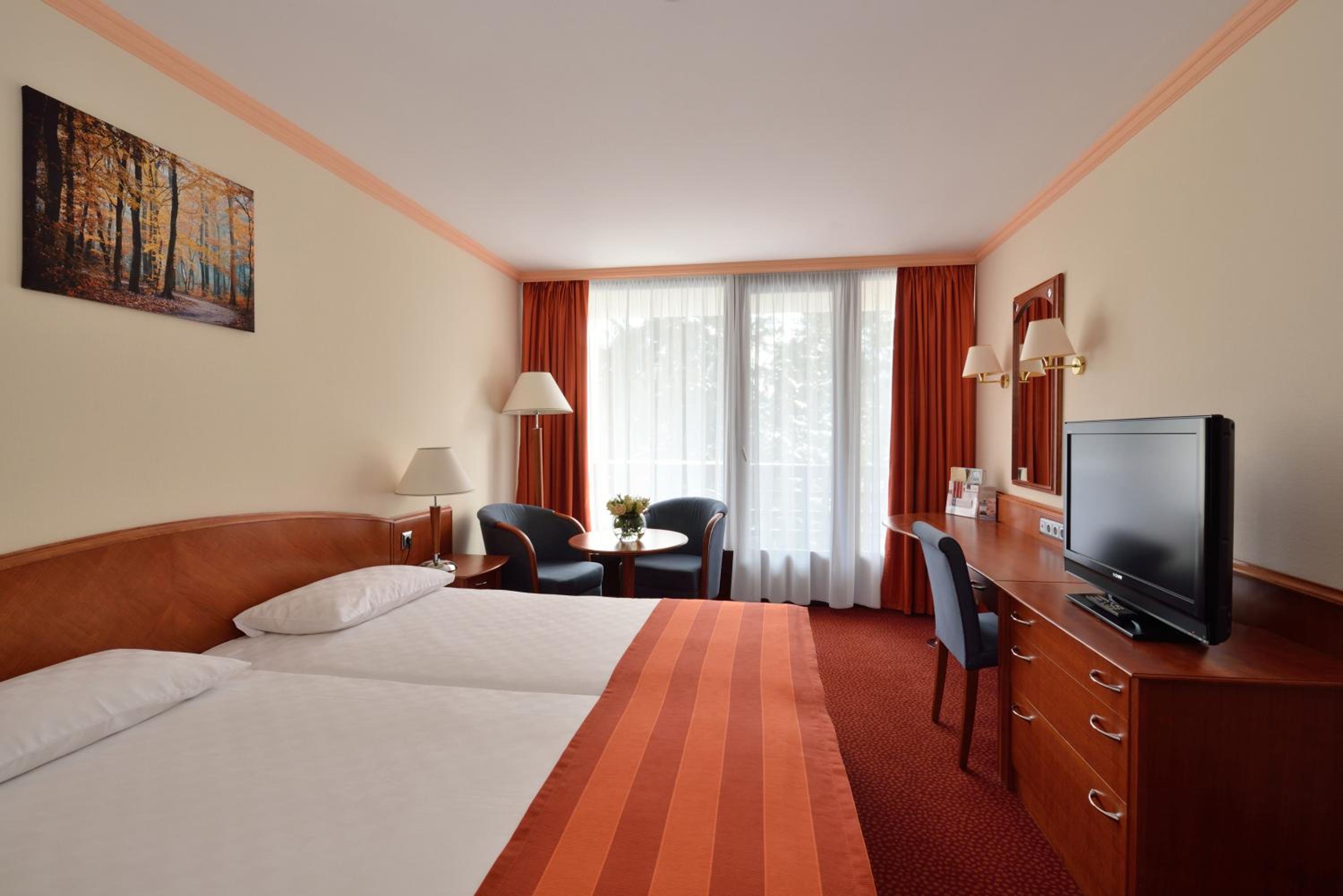 Superior Double Room with Wellness and Fitness Access