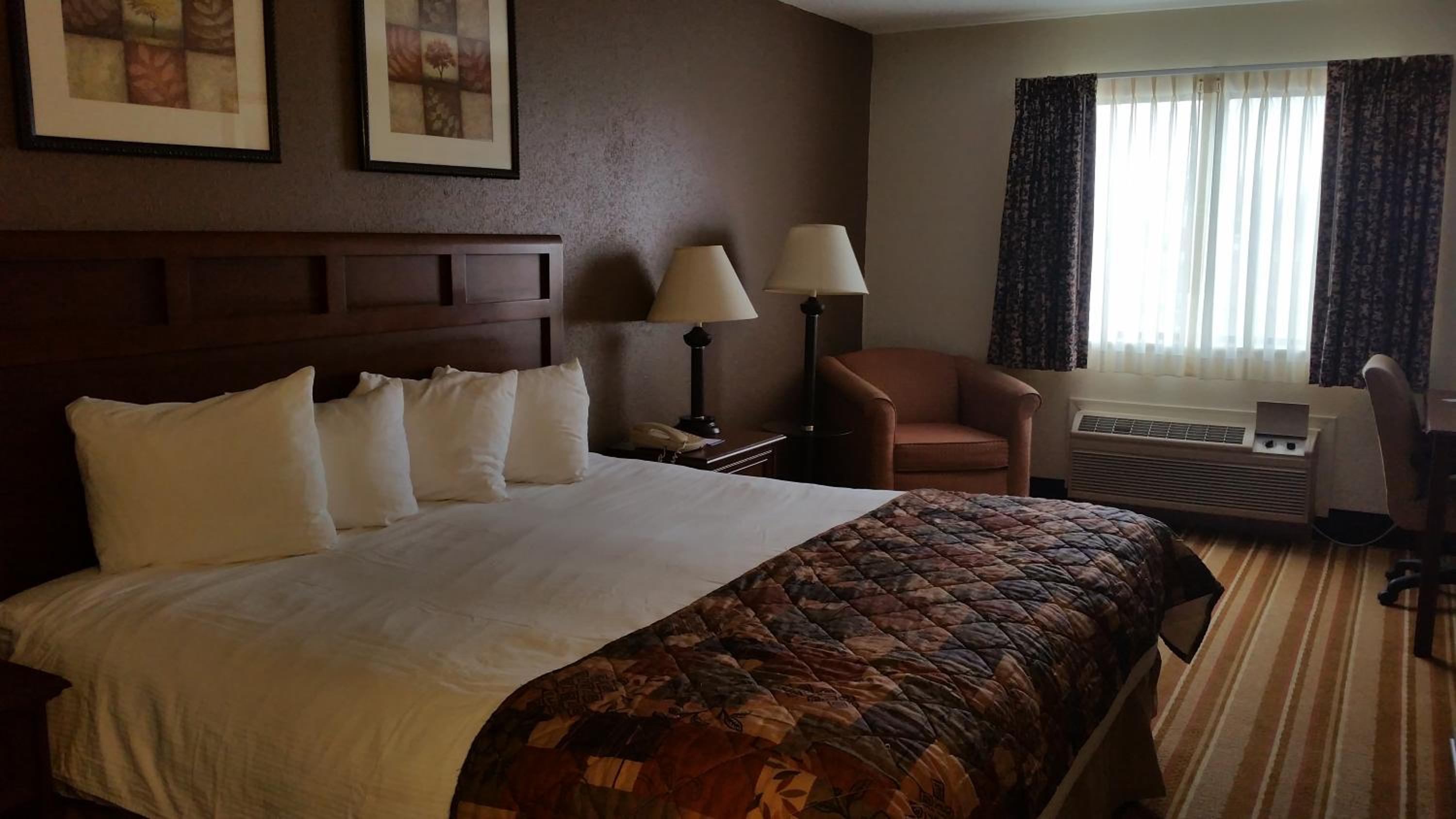 King Room - Non-Smoking - Photo 4