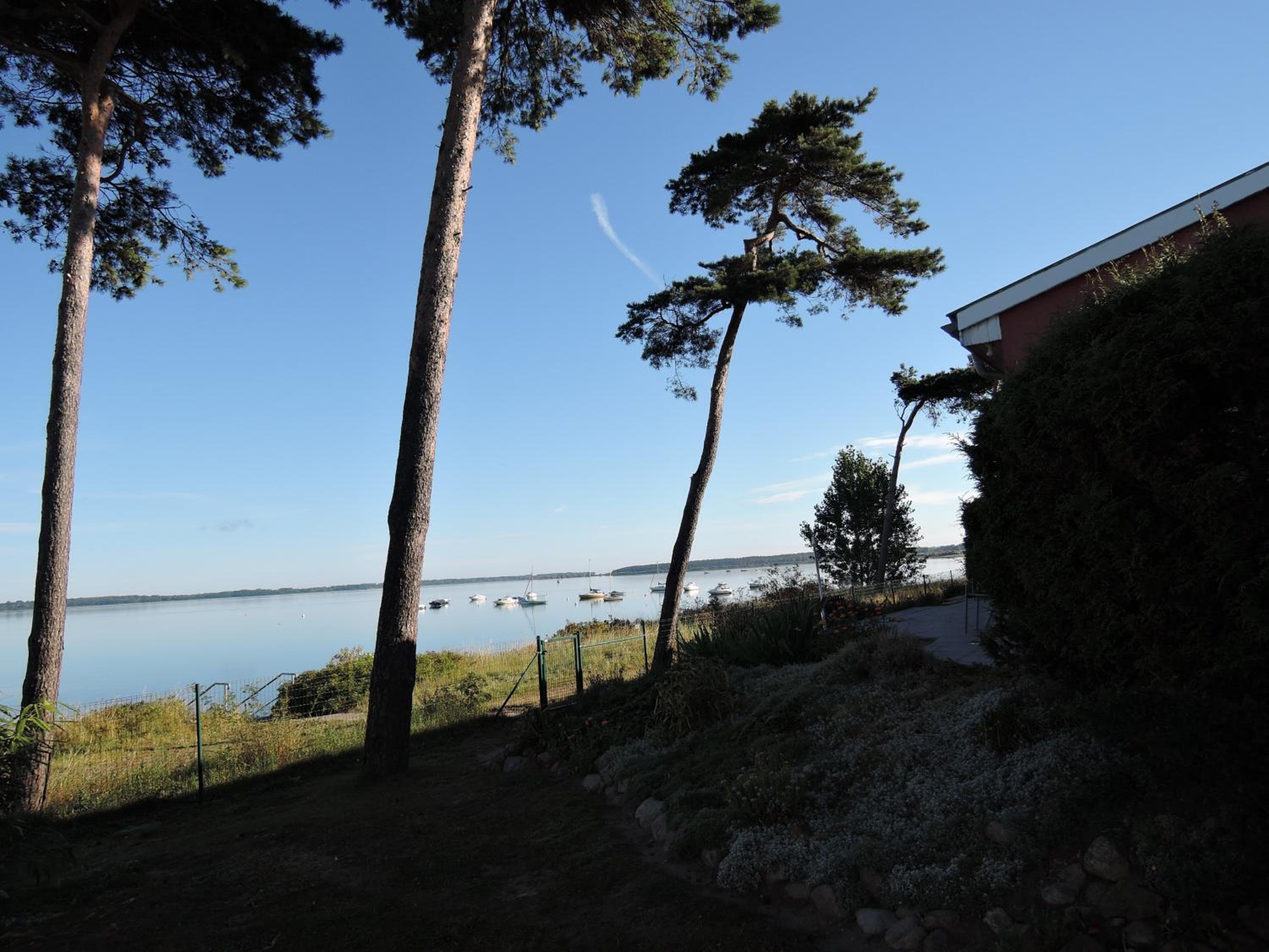 Studio Apartment with Sea View photo 3