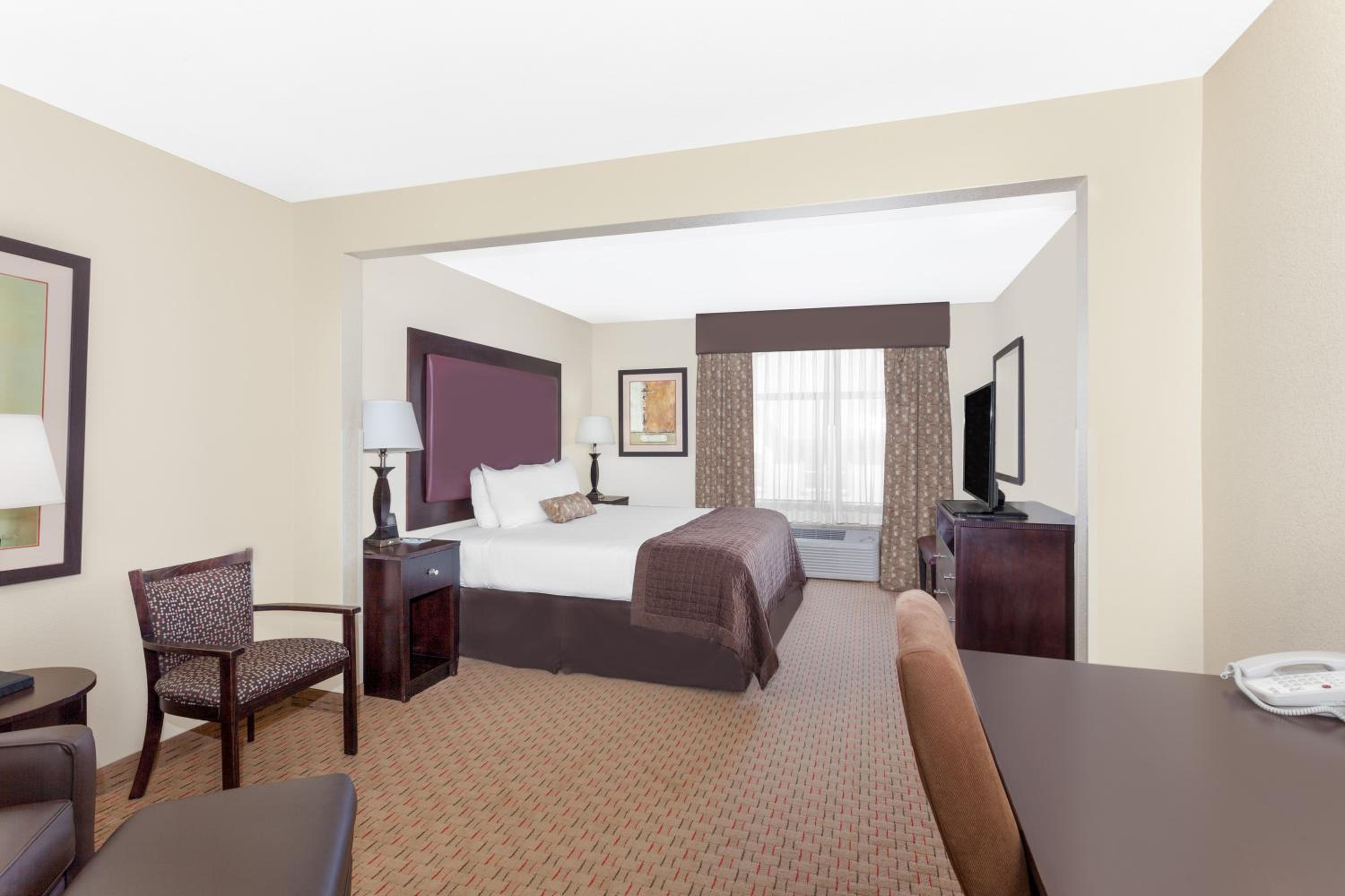 Deluxe King Suite with Sofa Bed - Non-Smoking - Photo 1