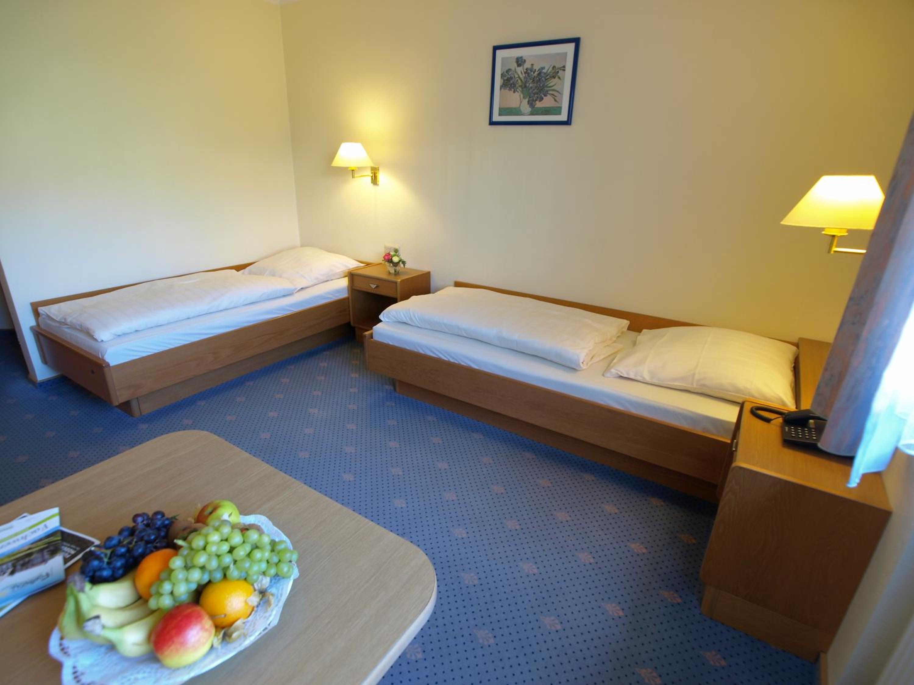 Twin Room - Photo 2
