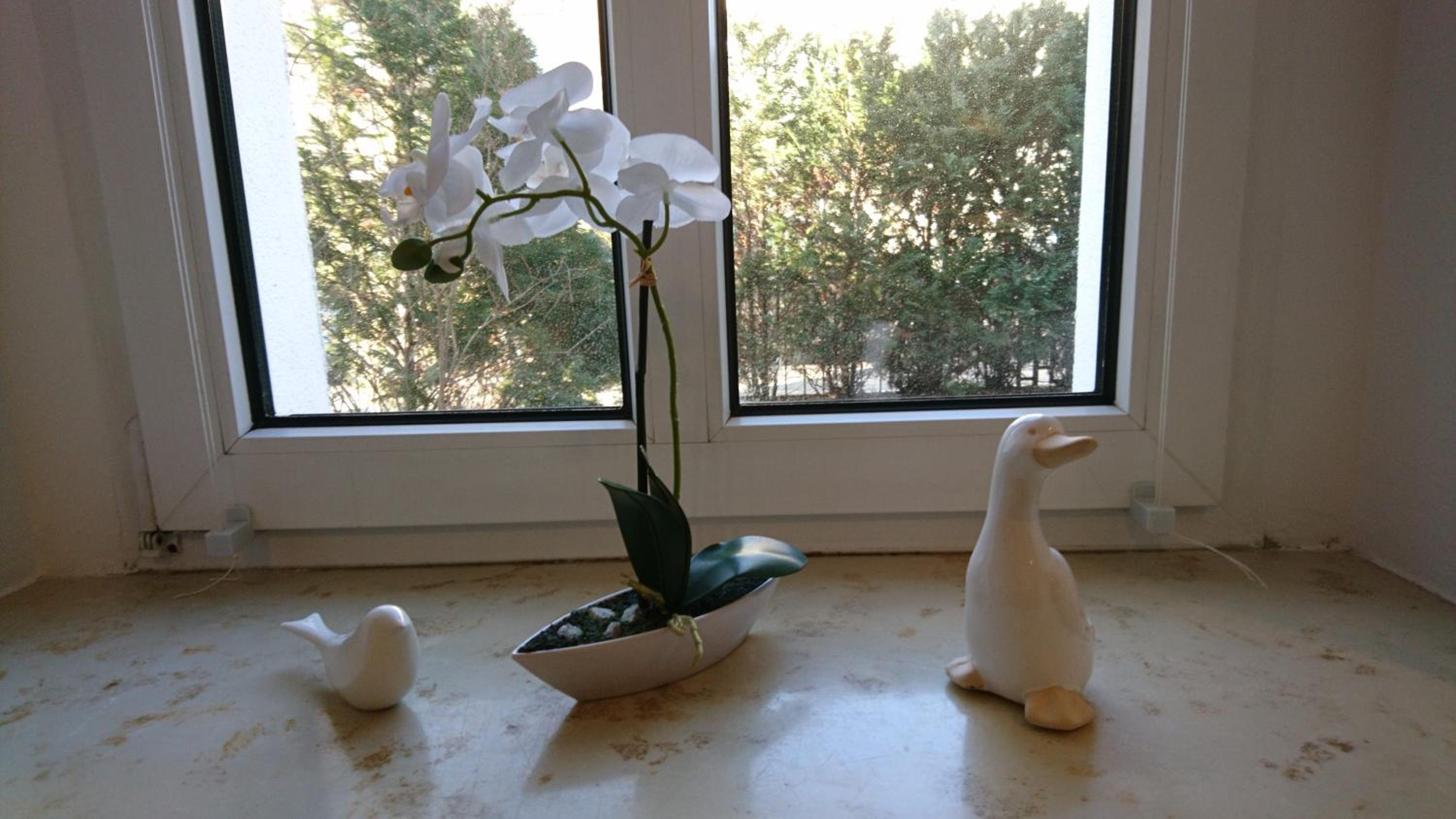 Apartment With Garden View photo 2