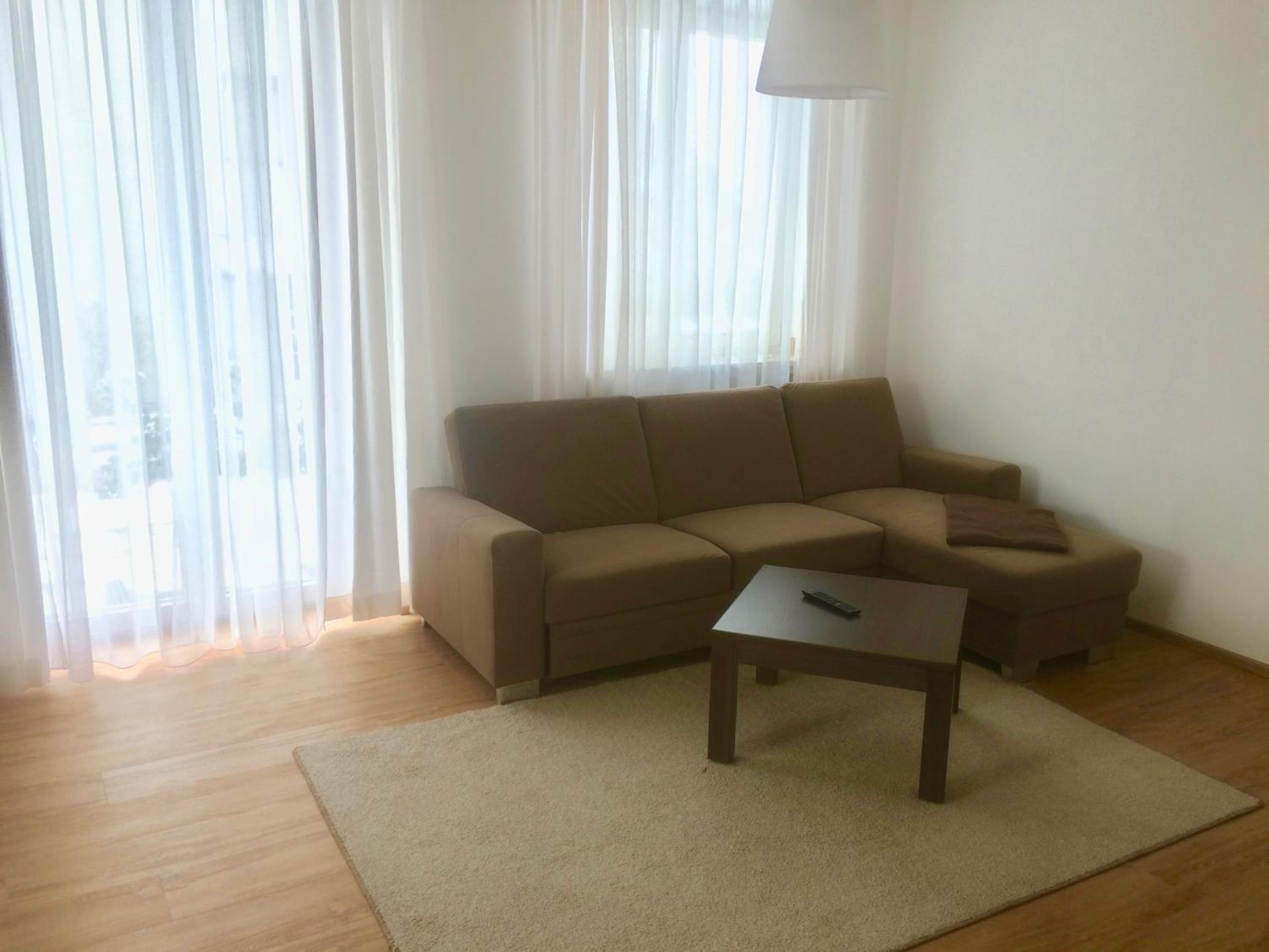 Large One-Bedroom Apartment photo 3