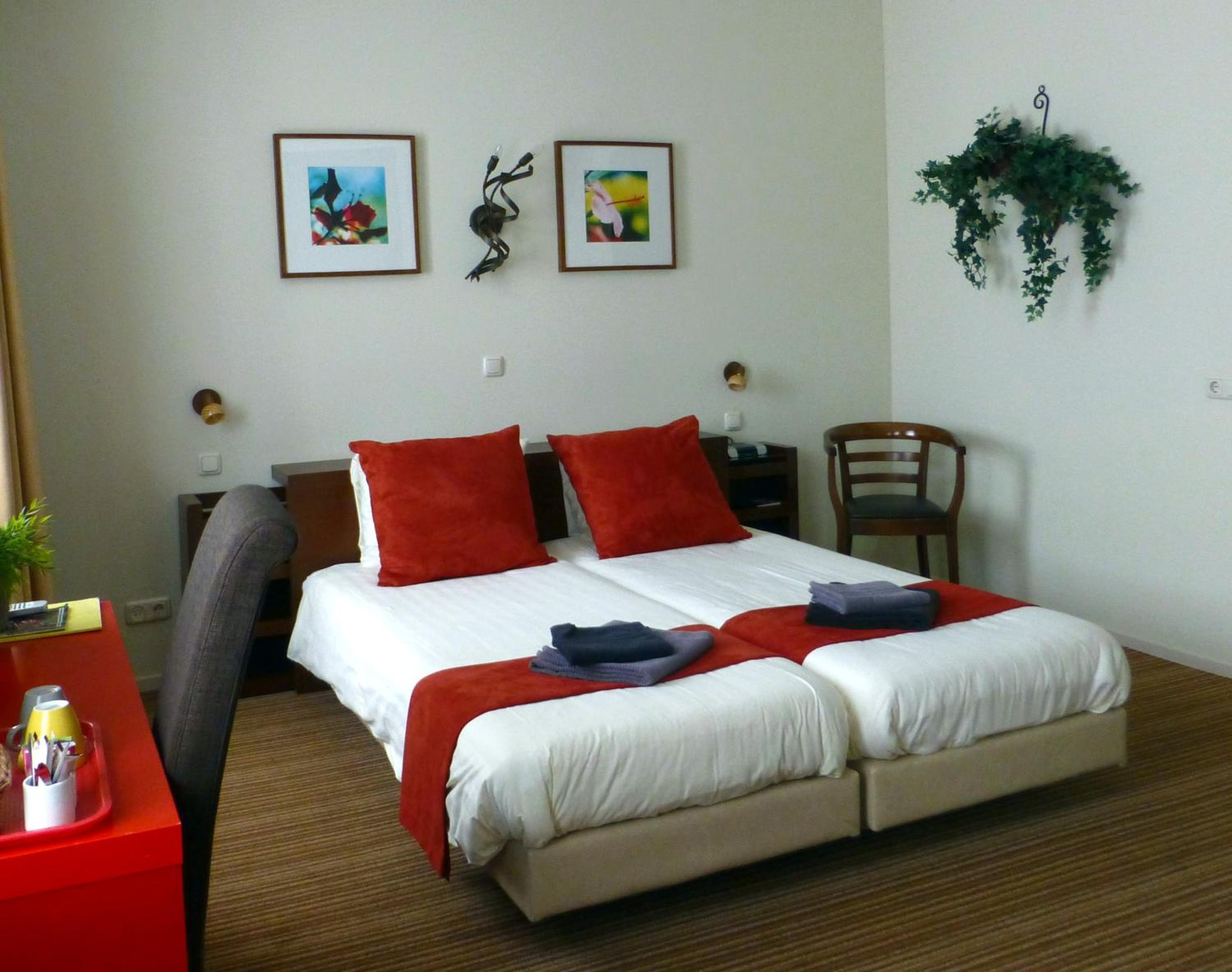 Standard Twin Room photo 1