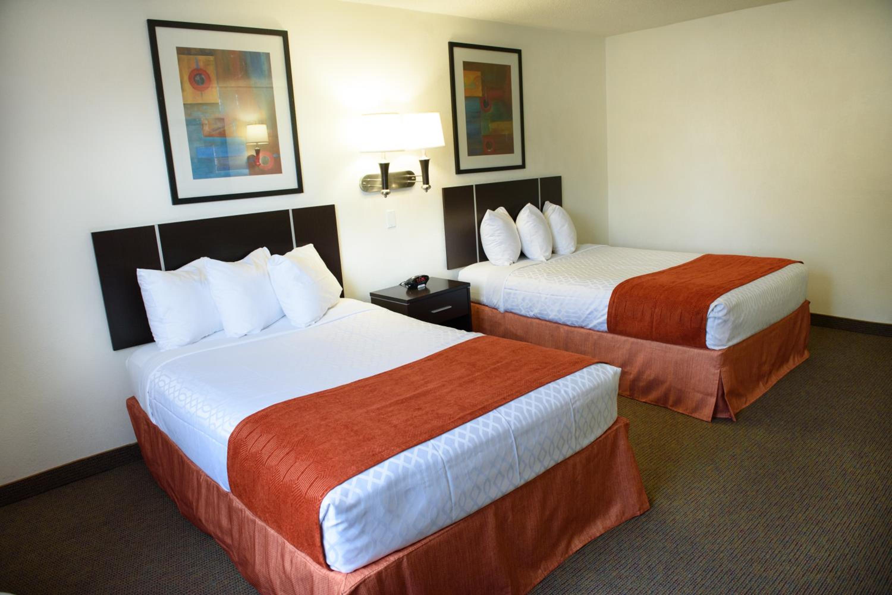 Standard Double Room - Photo 4