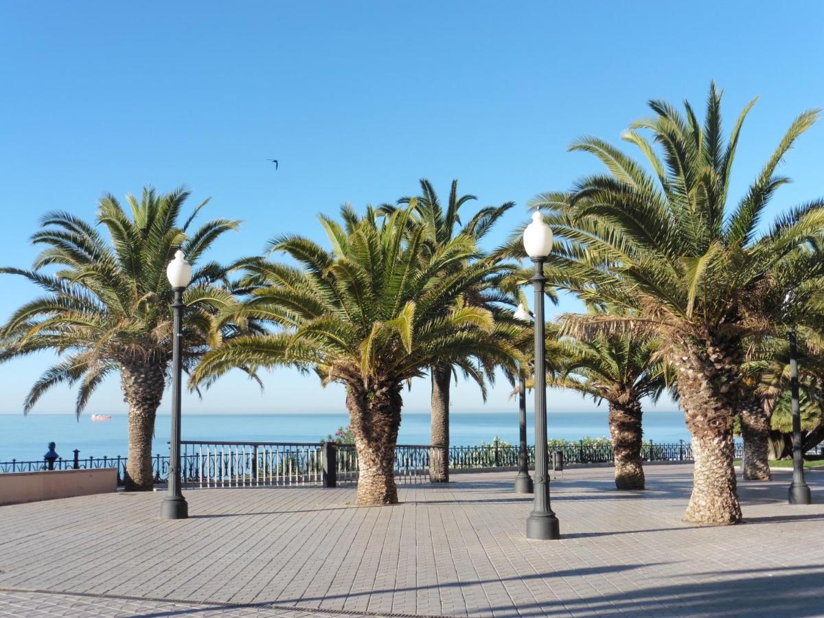 One-Bedroom Apartment photo 3