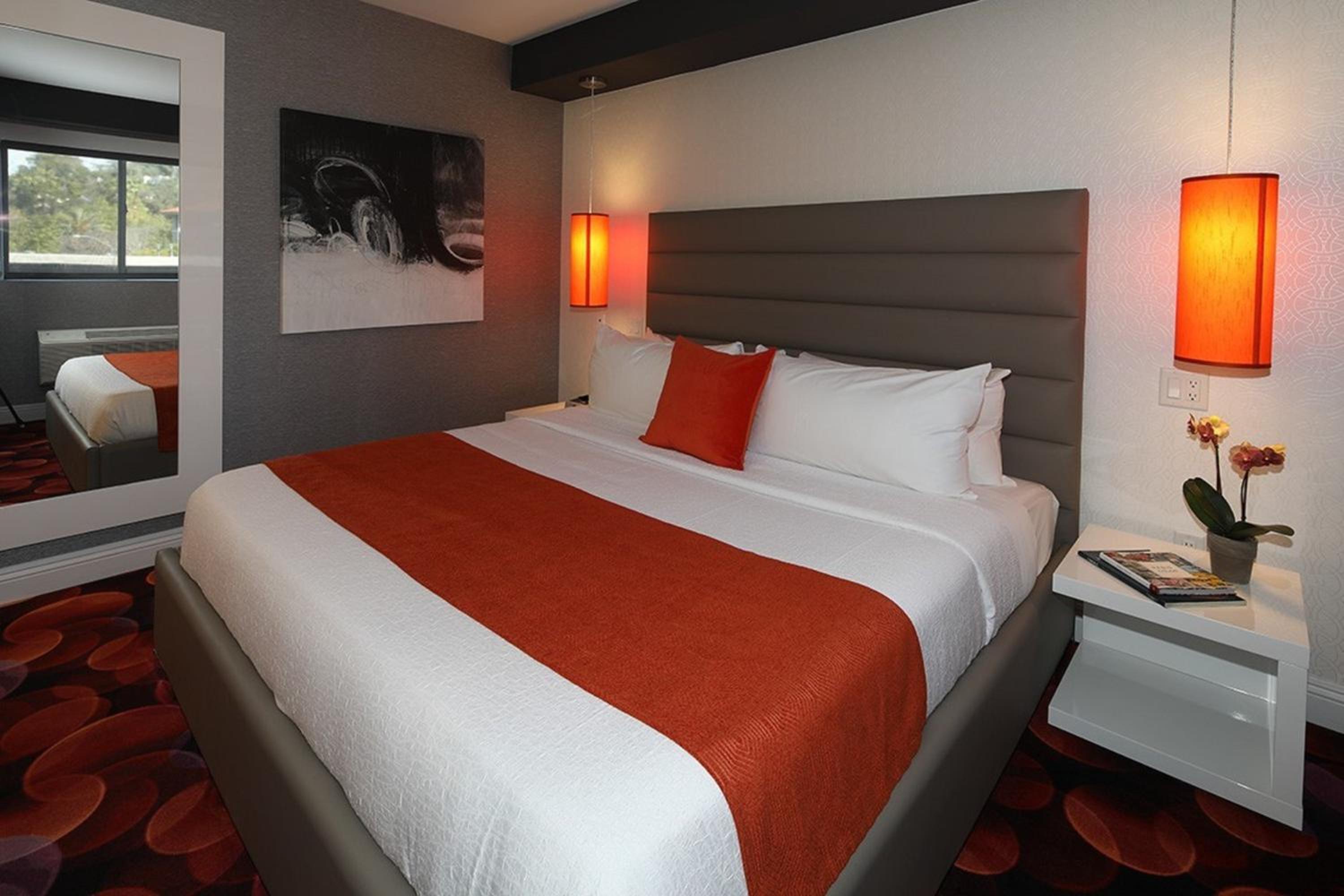 King Room photo 1