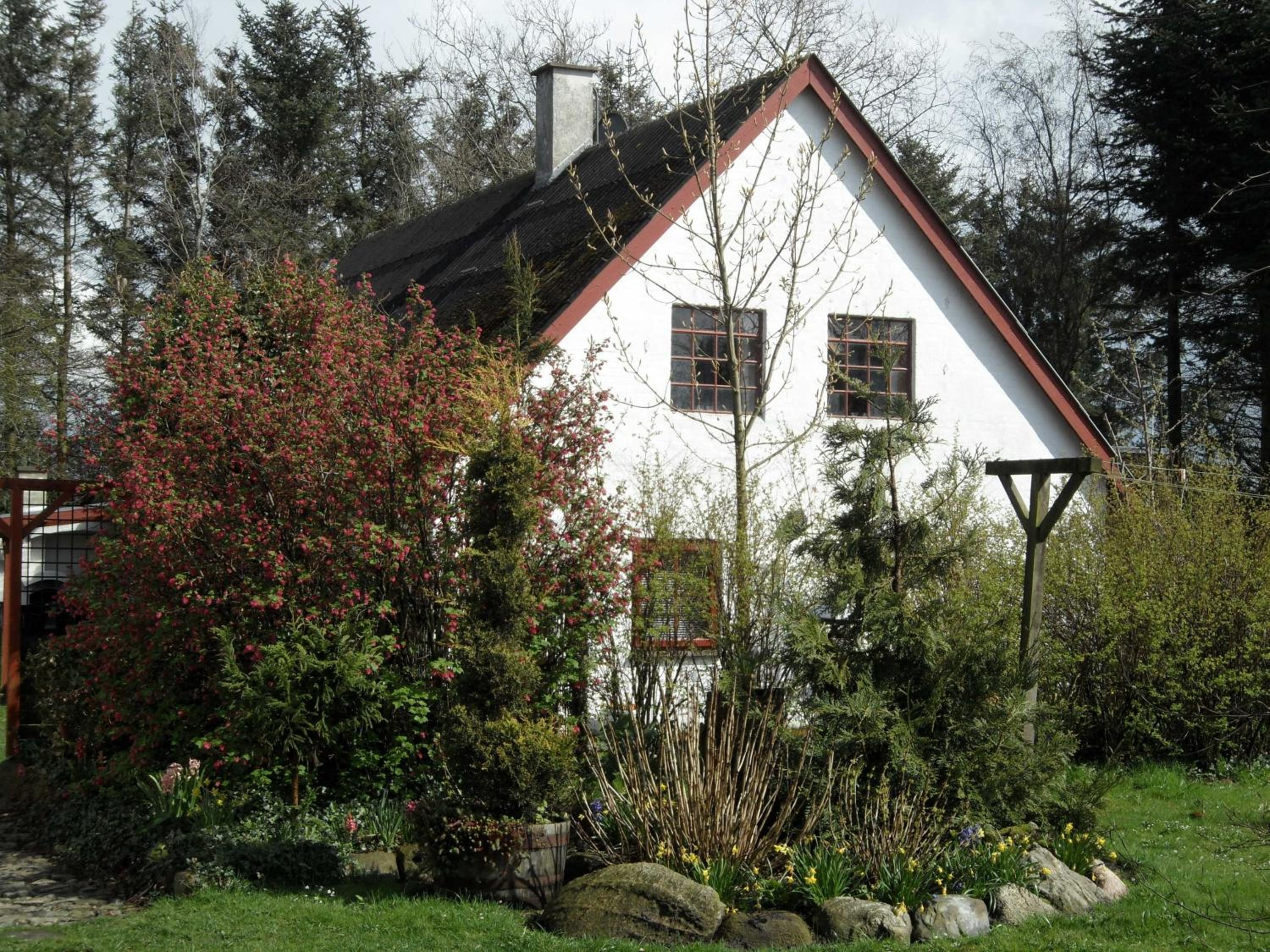 Three-Bedroom House photo 2