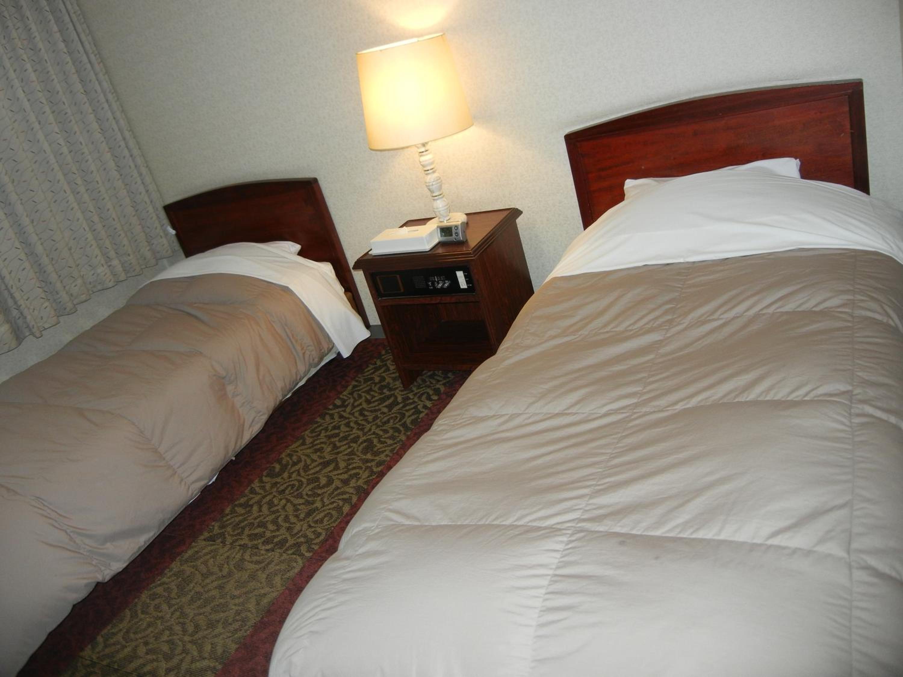 Twin Room - Smoking - Photo 7