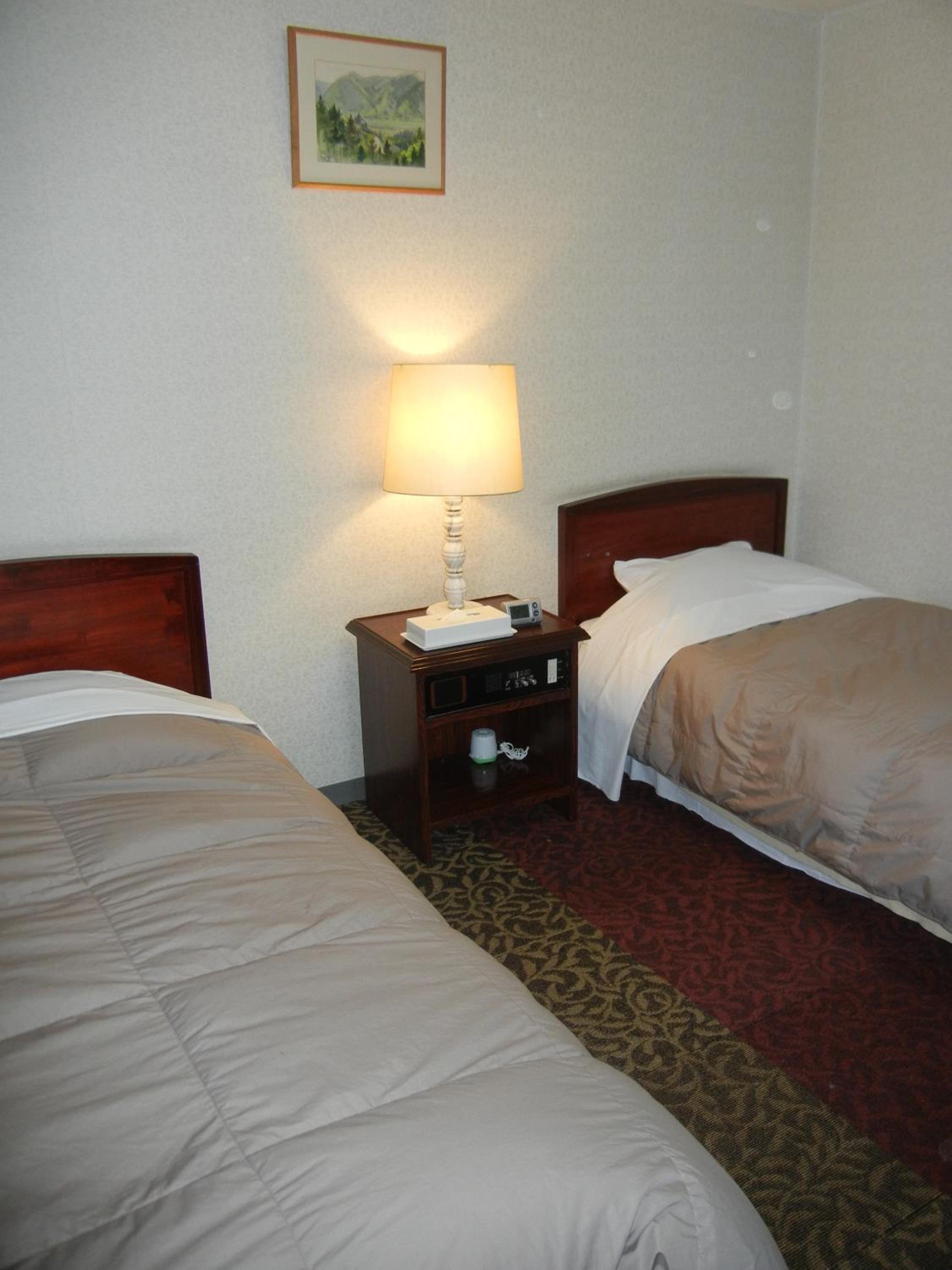 Twin Room - Smoking - Photo 8