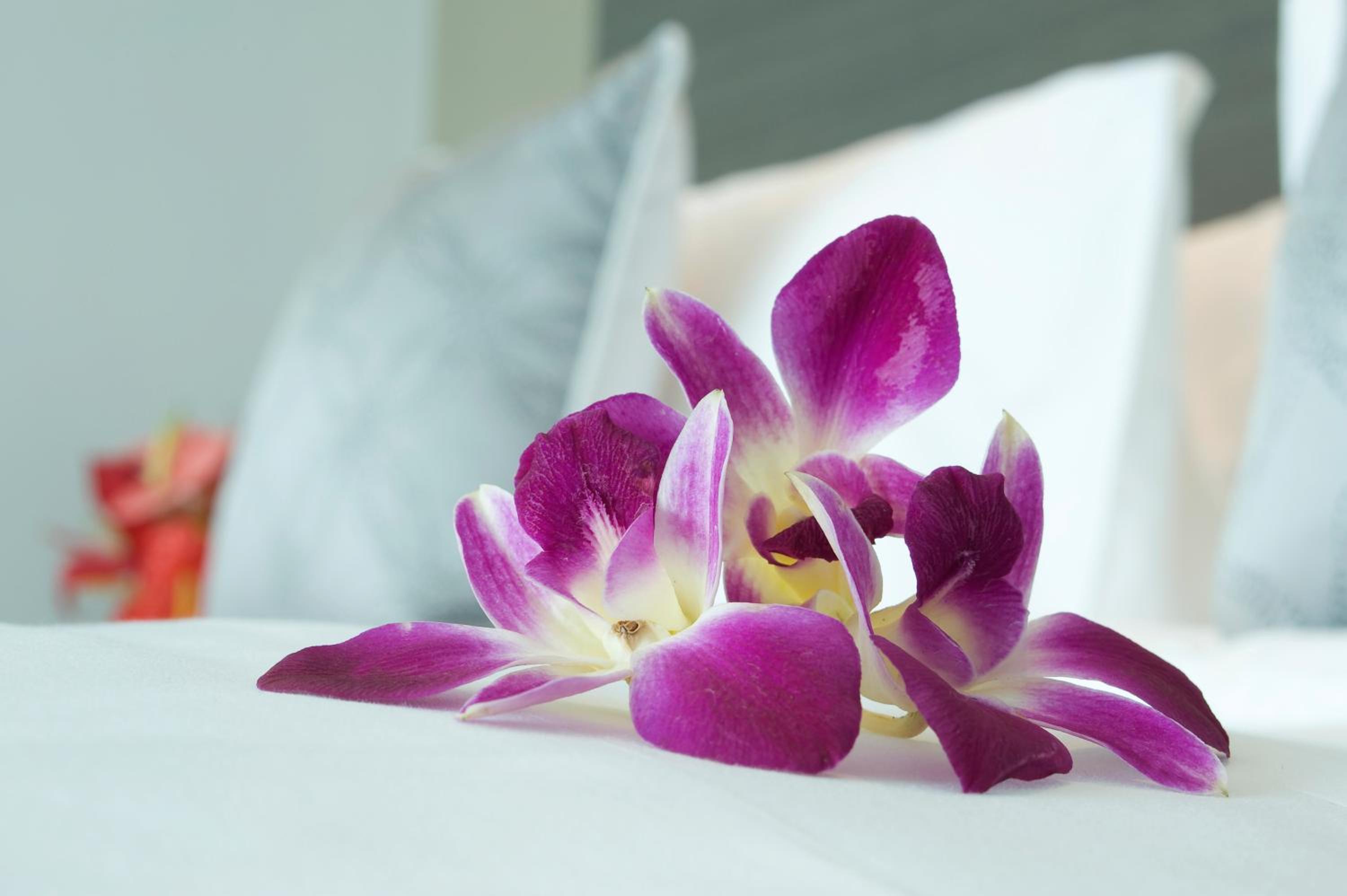 Deluxe Room with 1 double bed and sofa - Photo 4