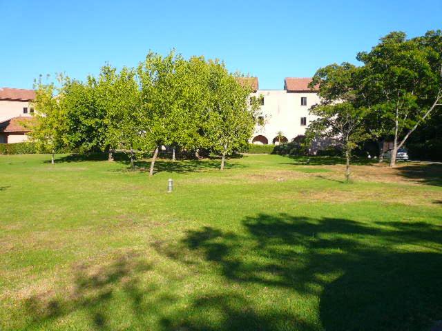 Apartment with Terrace photo 1