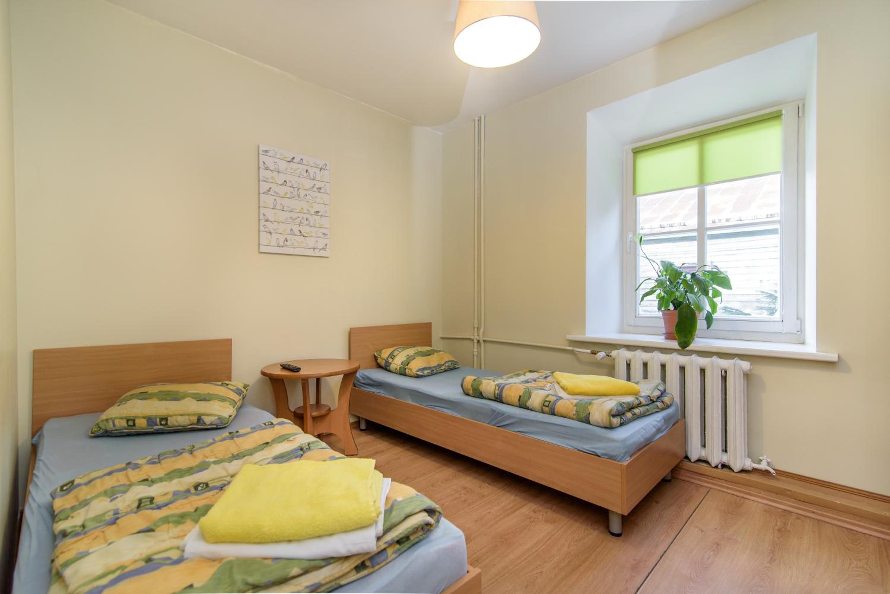 Twin Room photo 2