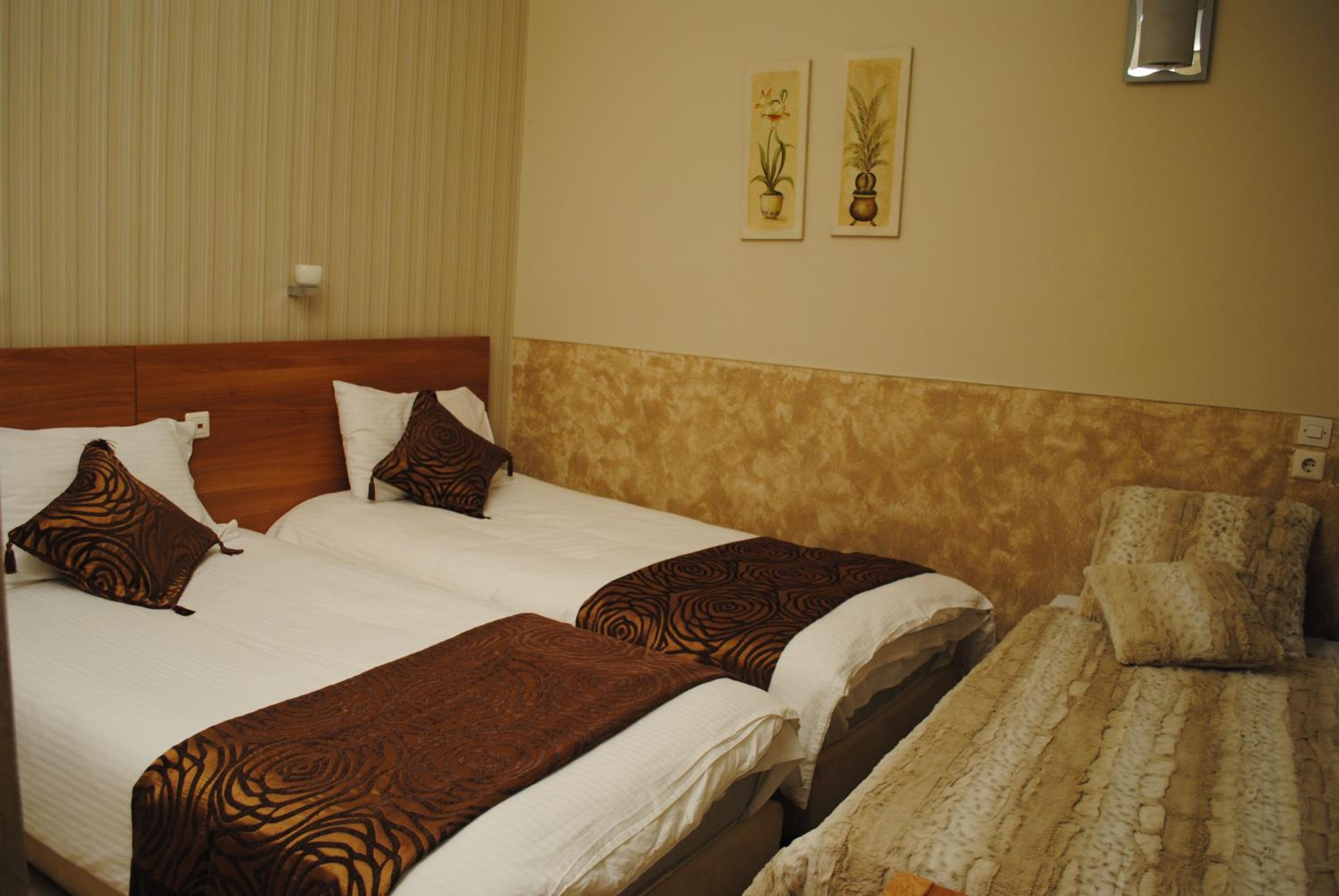 Triple Room photo 3