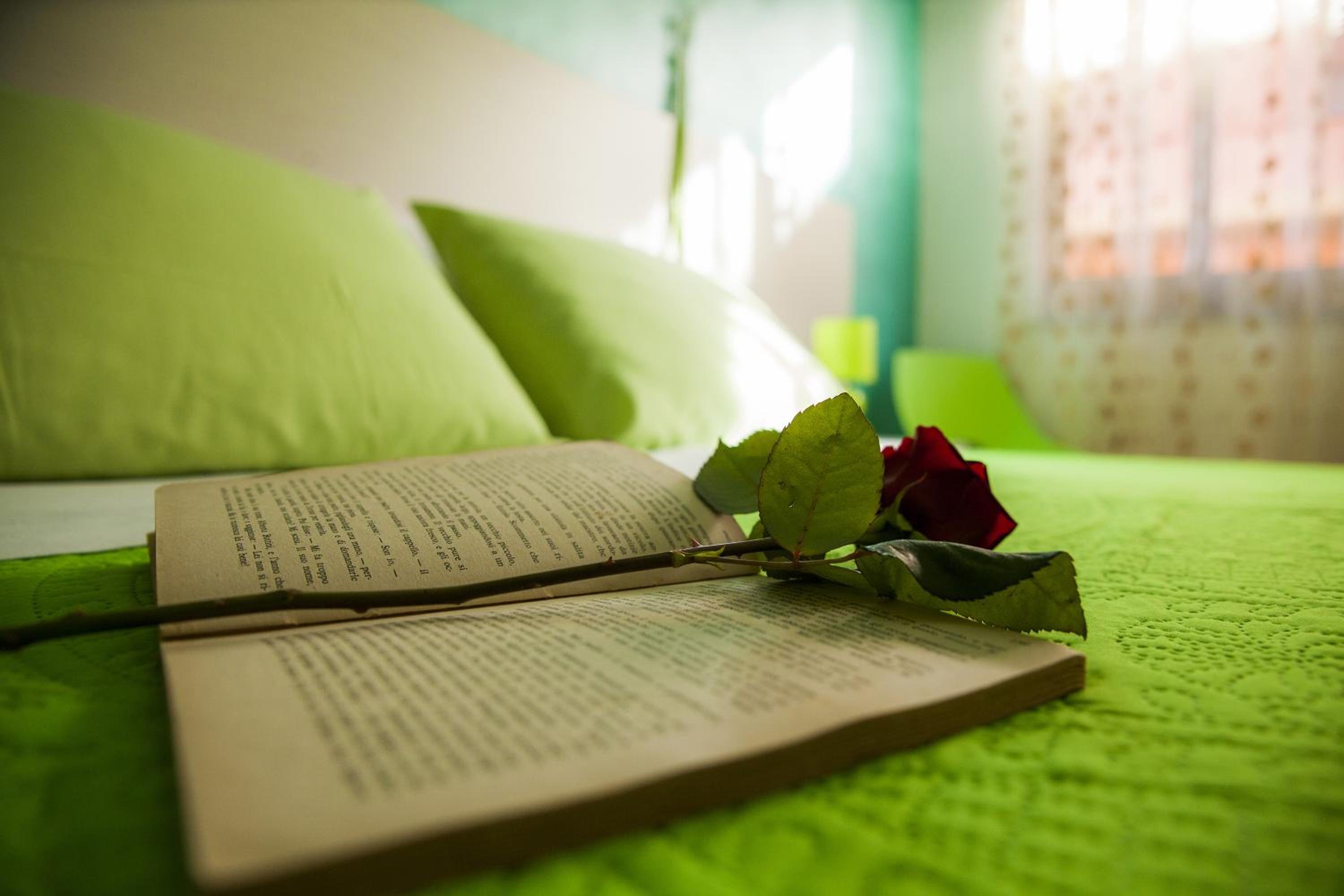 King Room - Photo 16