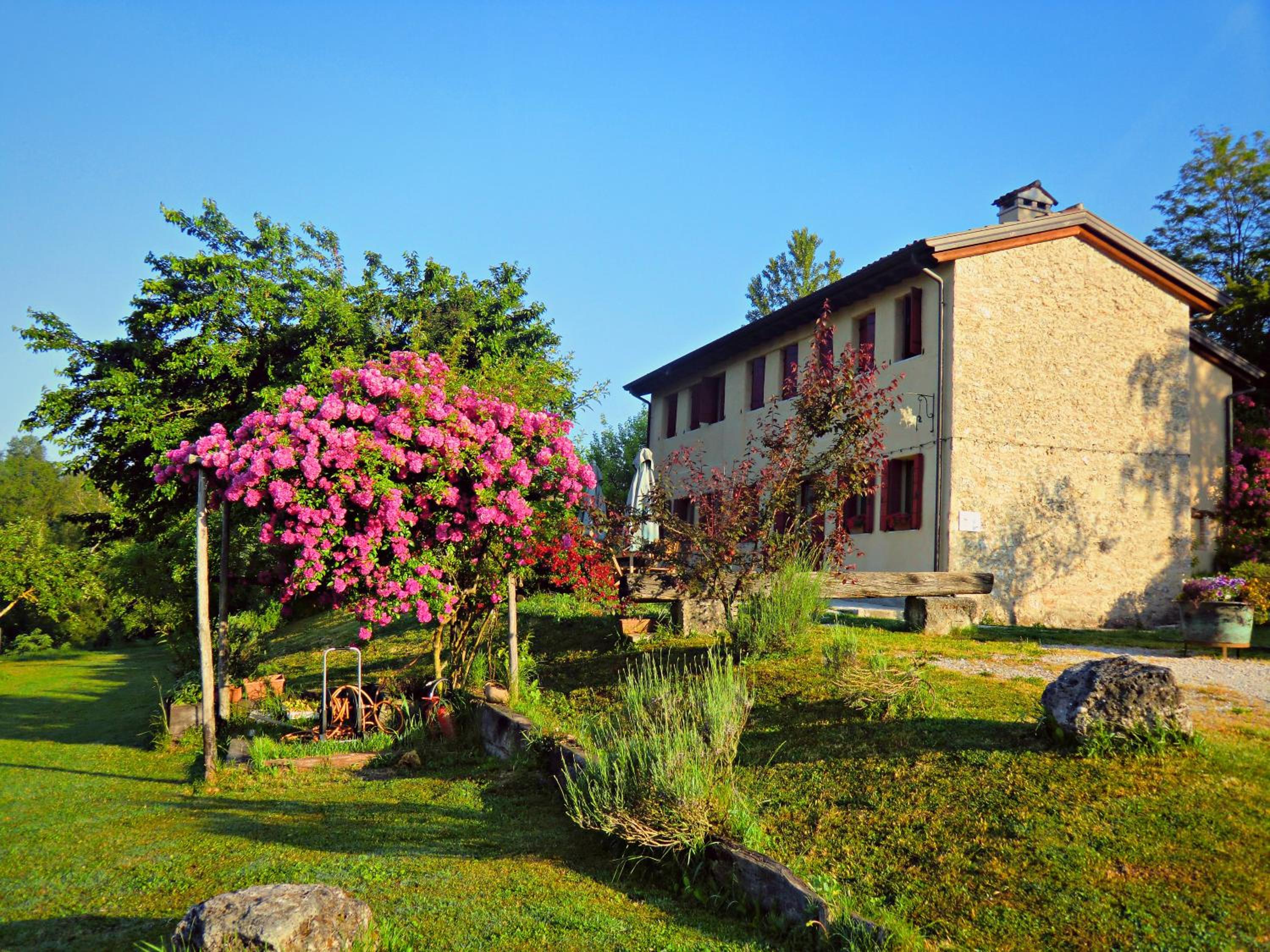 Double or Twin Room with Garden View photo 2