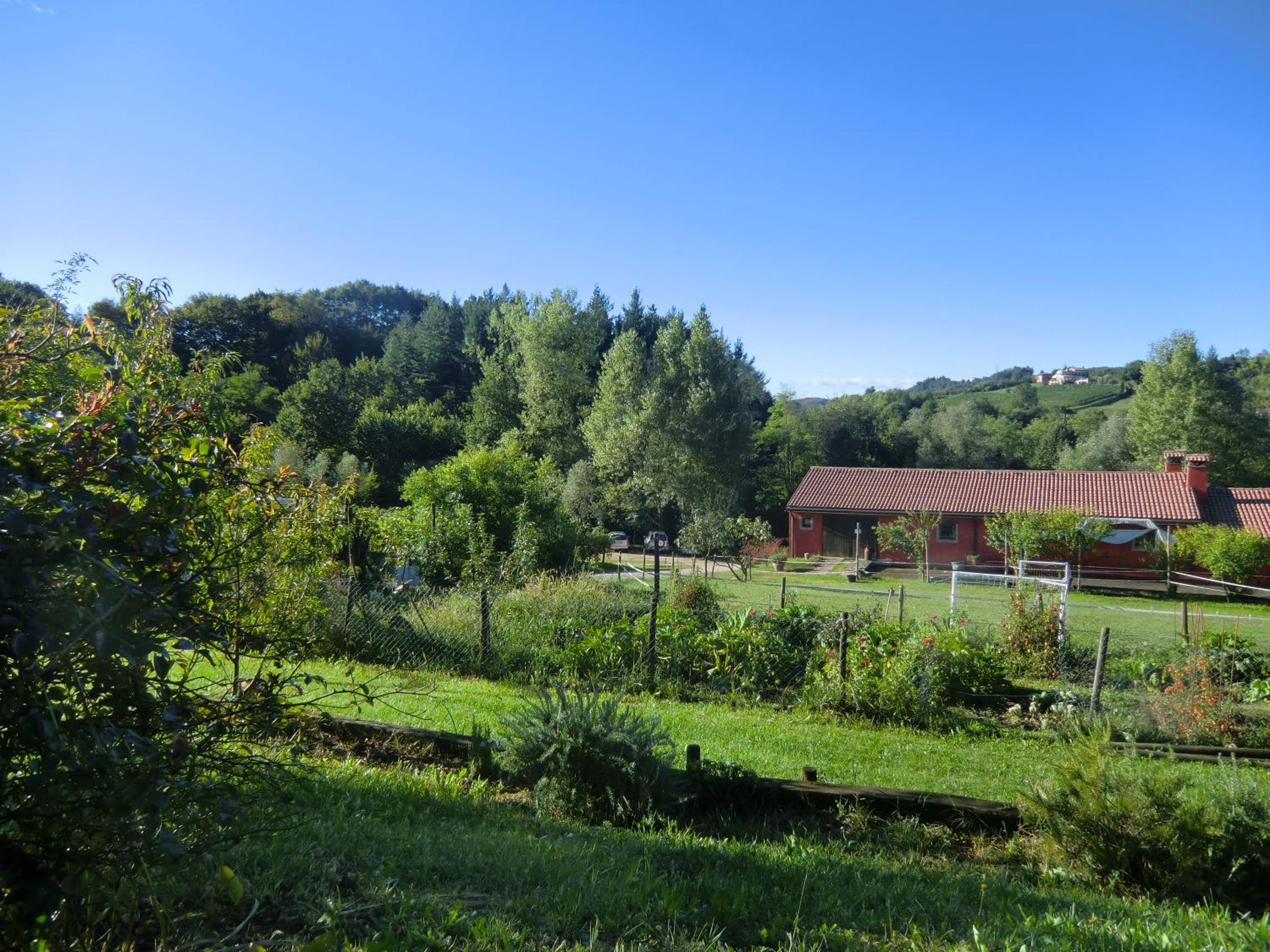 Double or Twin Room with Garden View photo 3