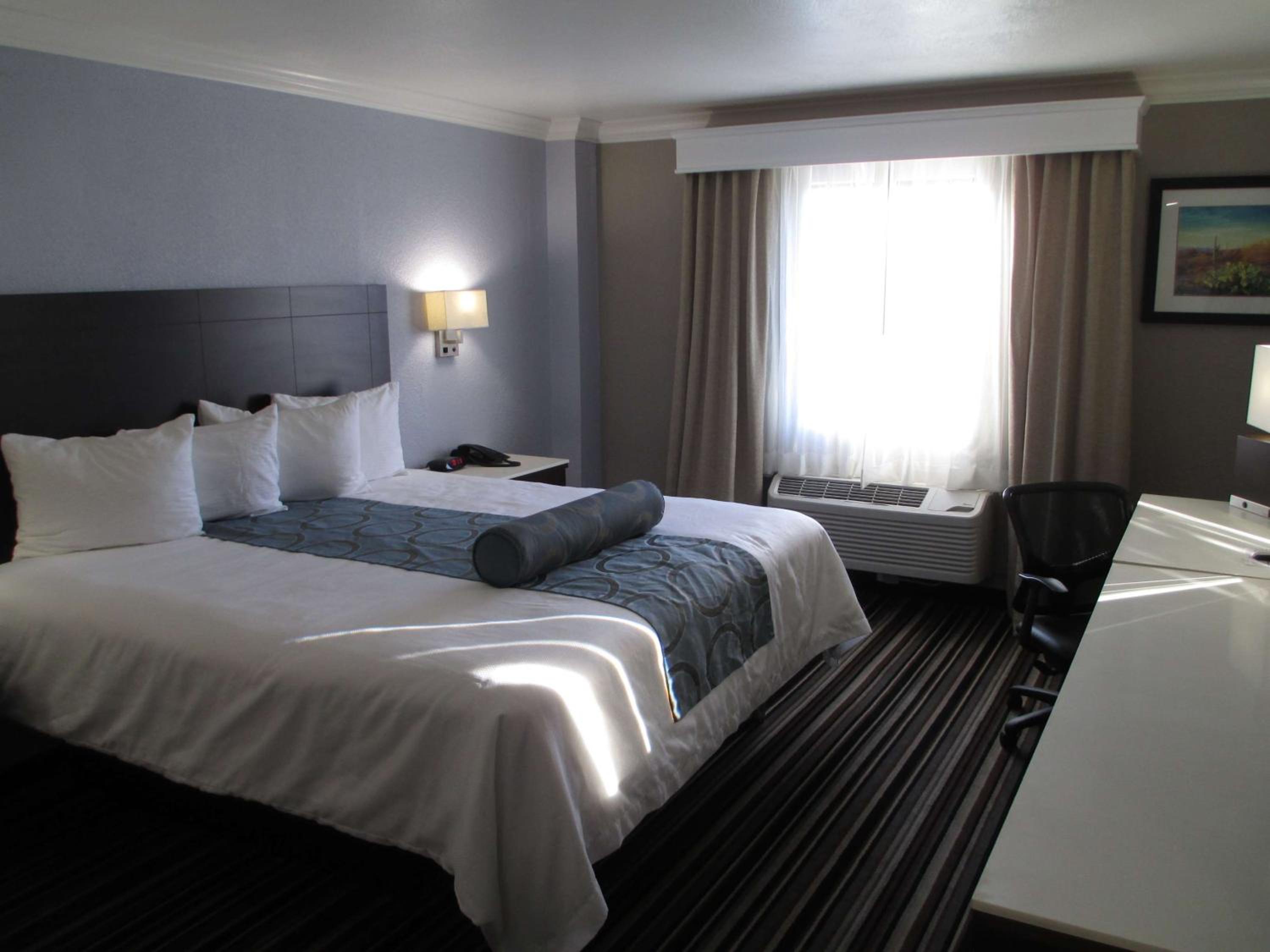 King Room - Pet Friendly/Non-Smoking - Photo 1
