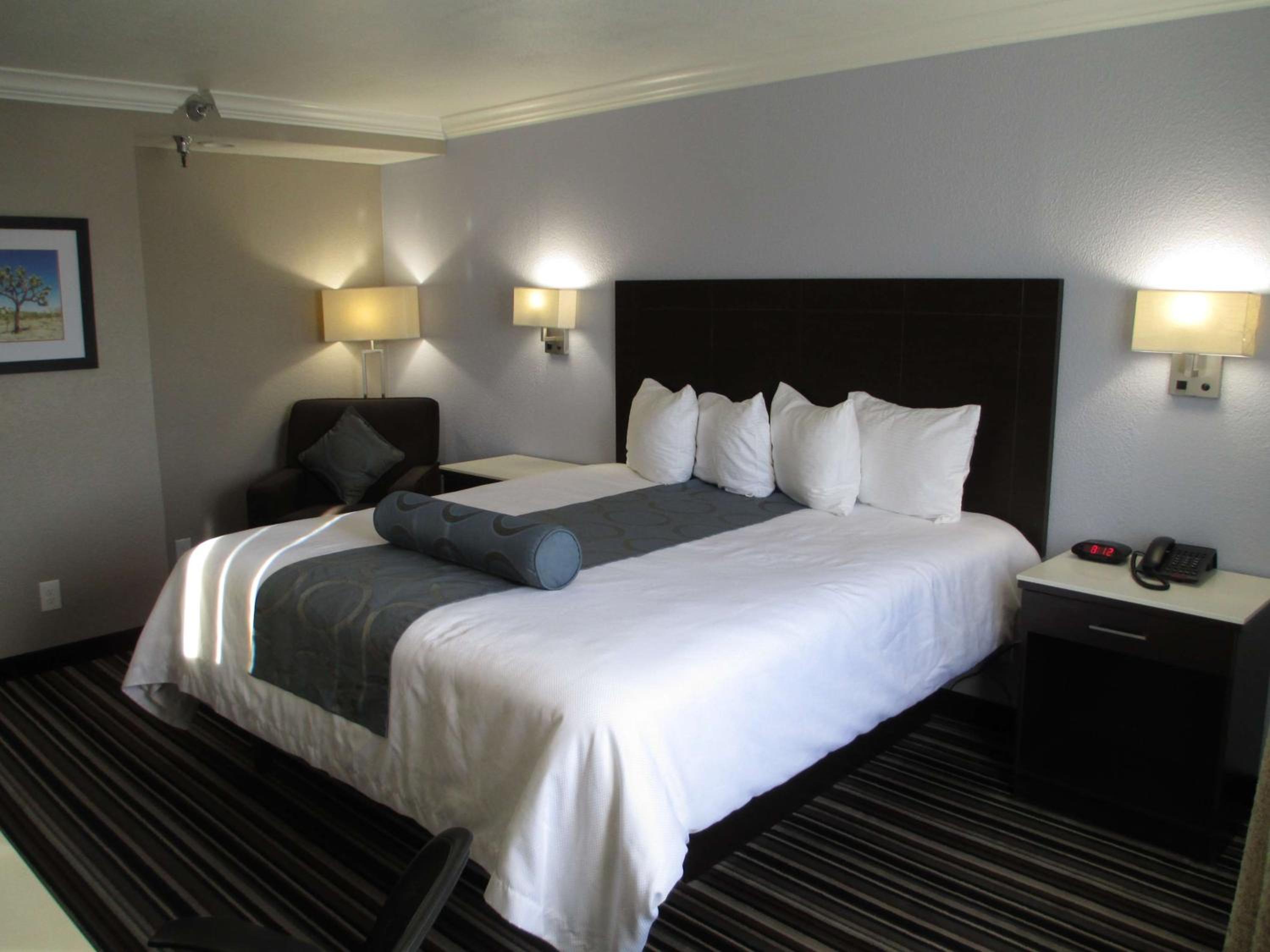 King Room - Pet Friendly/Non-Smoking - Photo 2