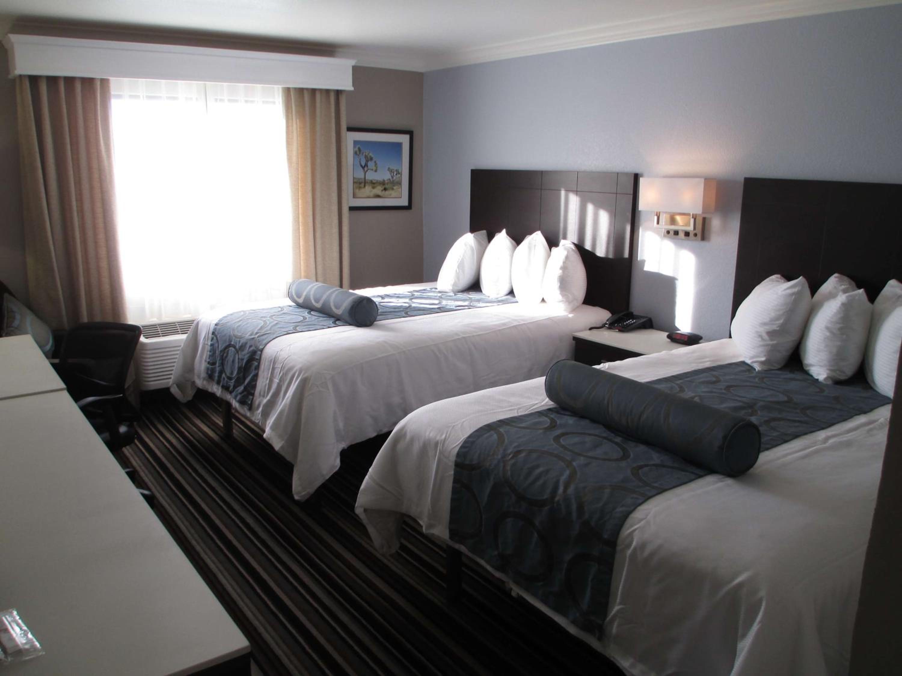 Queen Room with Two Queen Beds - Pet Friendly/Non-Smoking - Photo 2