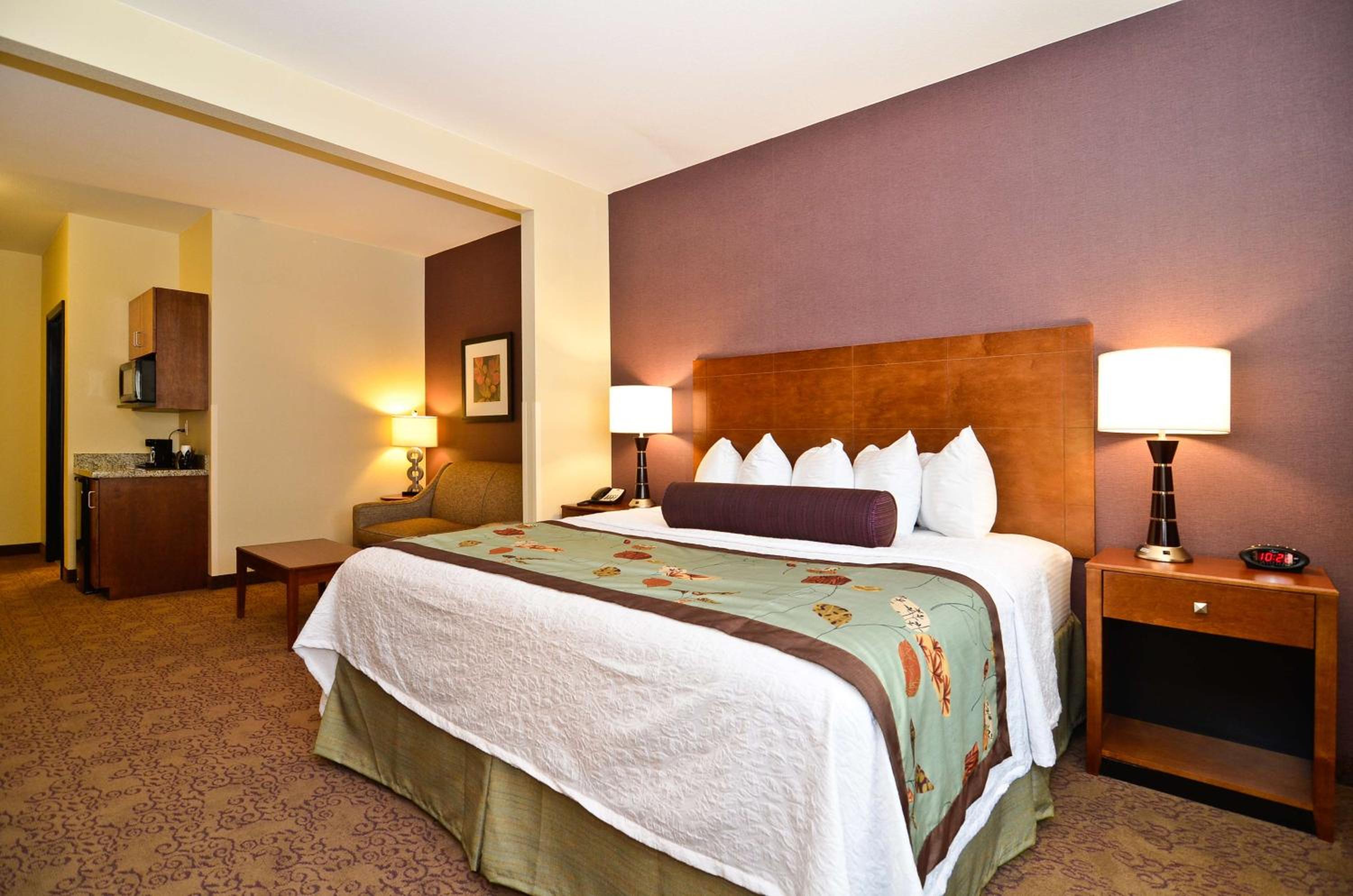 One-Bedroom King Suite with Sofa Bed