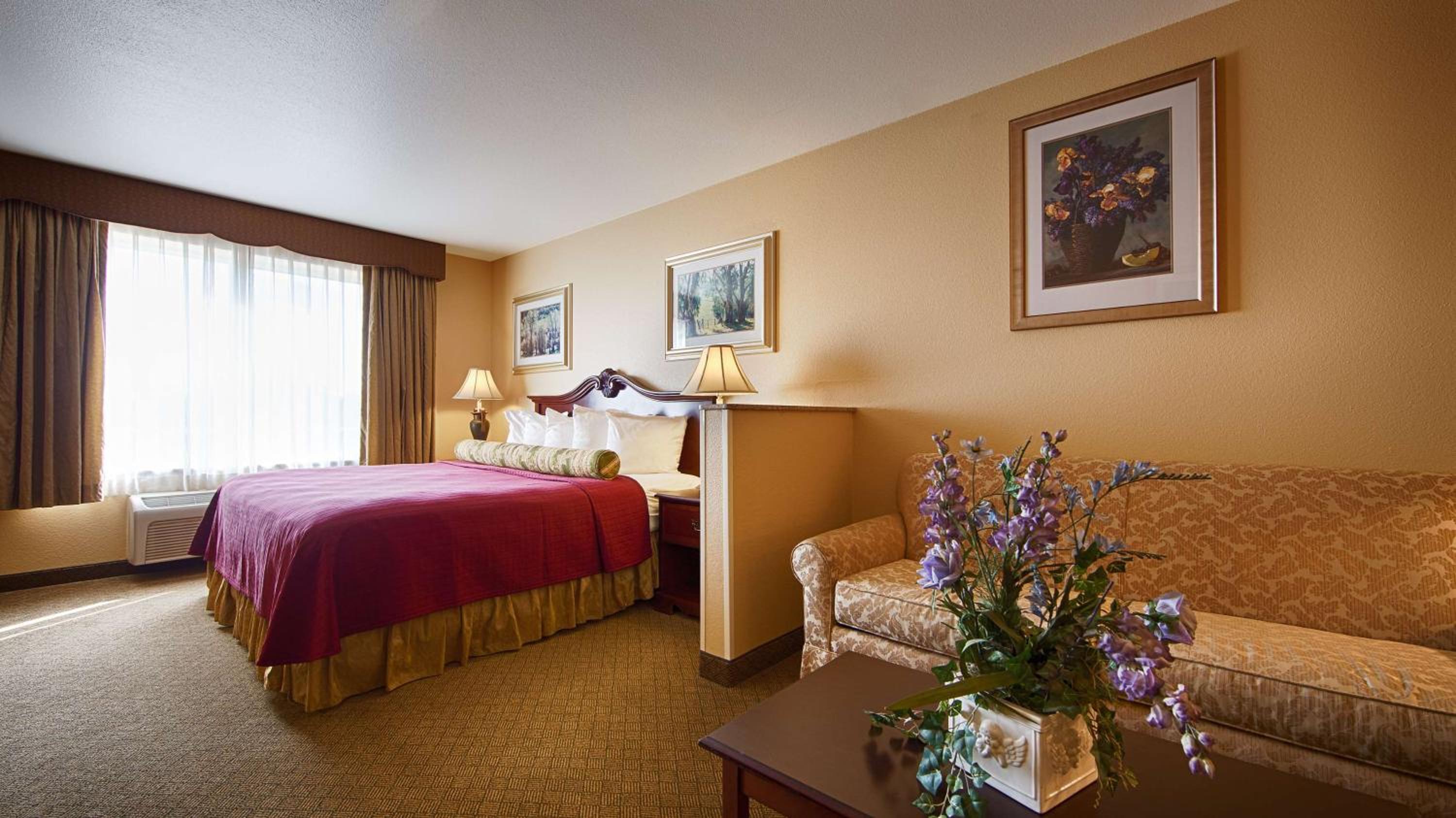 King Suite with Sofa Bed - Non-Smoking photo 1