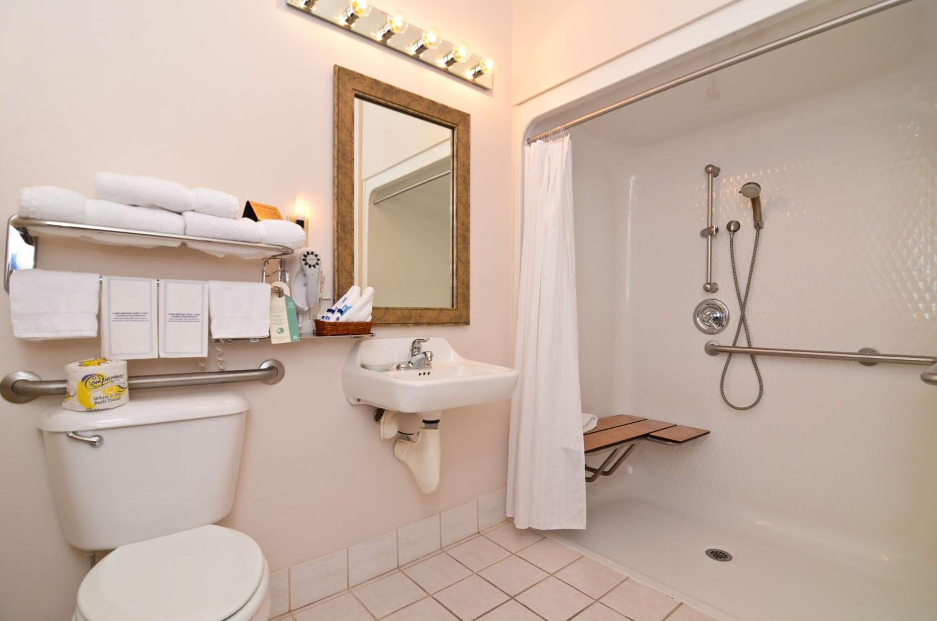 King Room with Roll-in Shower - Disability Access/Non-Smoking