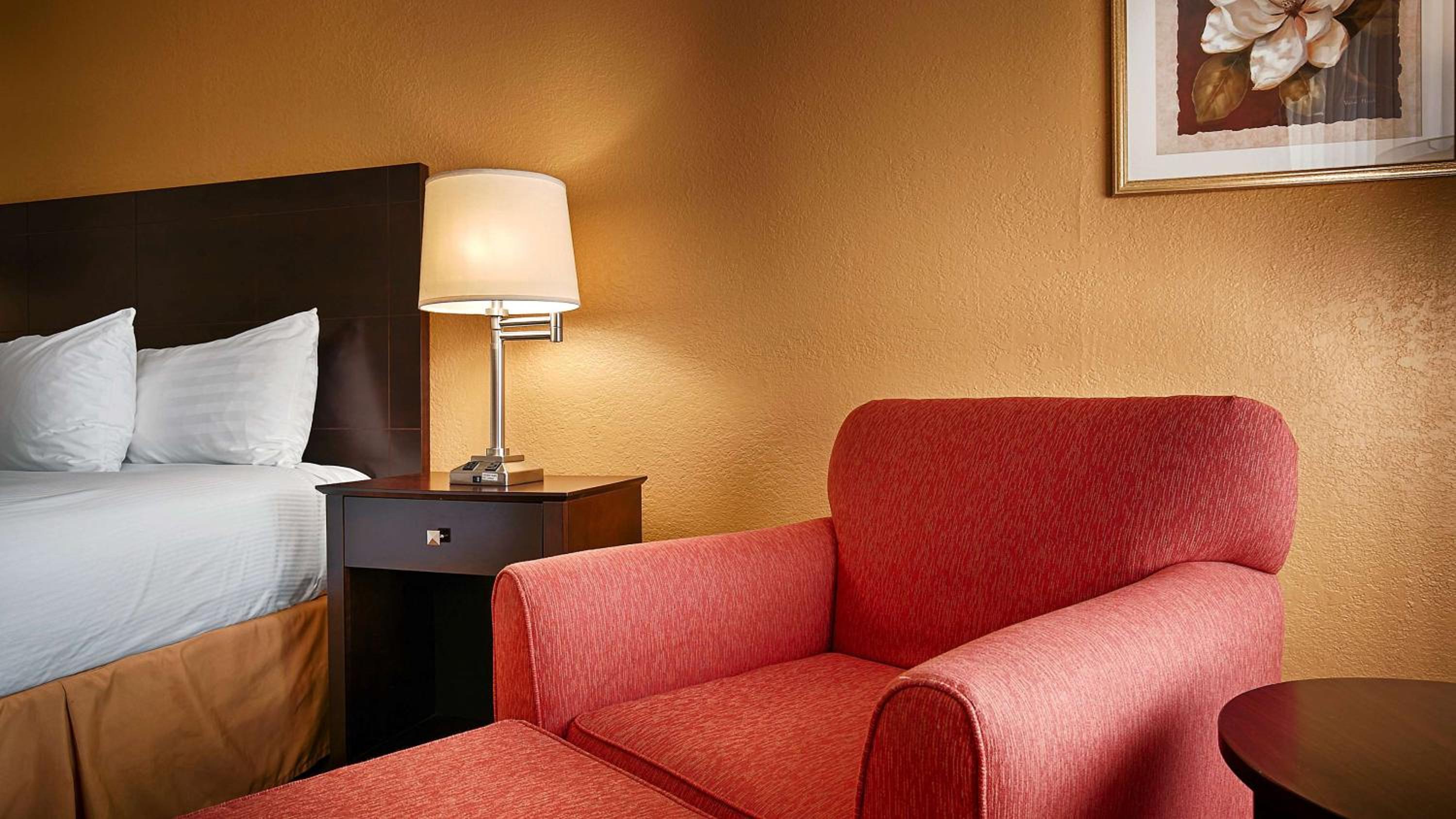 King Room with Roll-In Shower - Pet Friendly/Disability Accessible photo 3