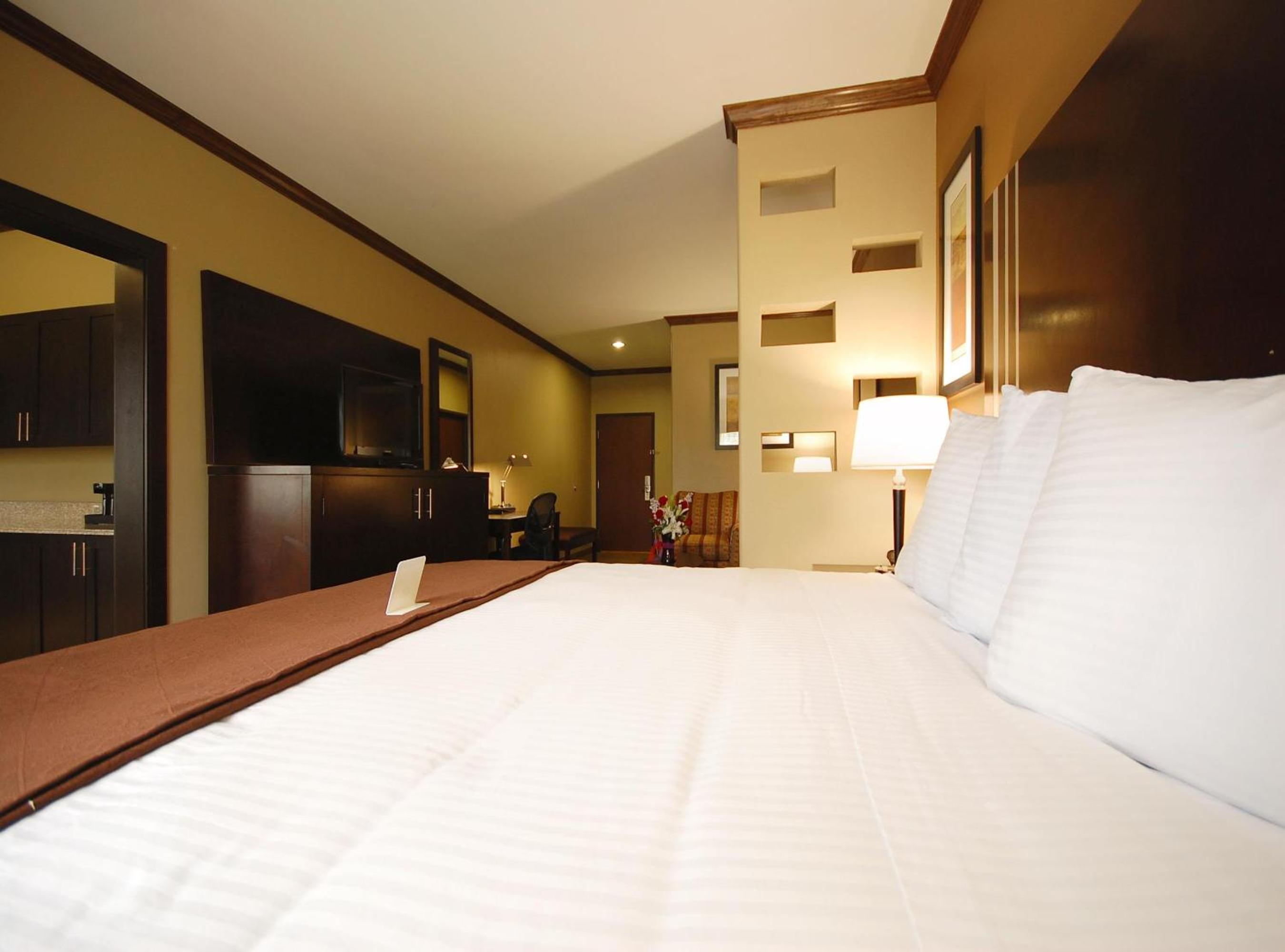King Suite with Sofa Bed and Kitchen - Non-Smoking - Photo 1