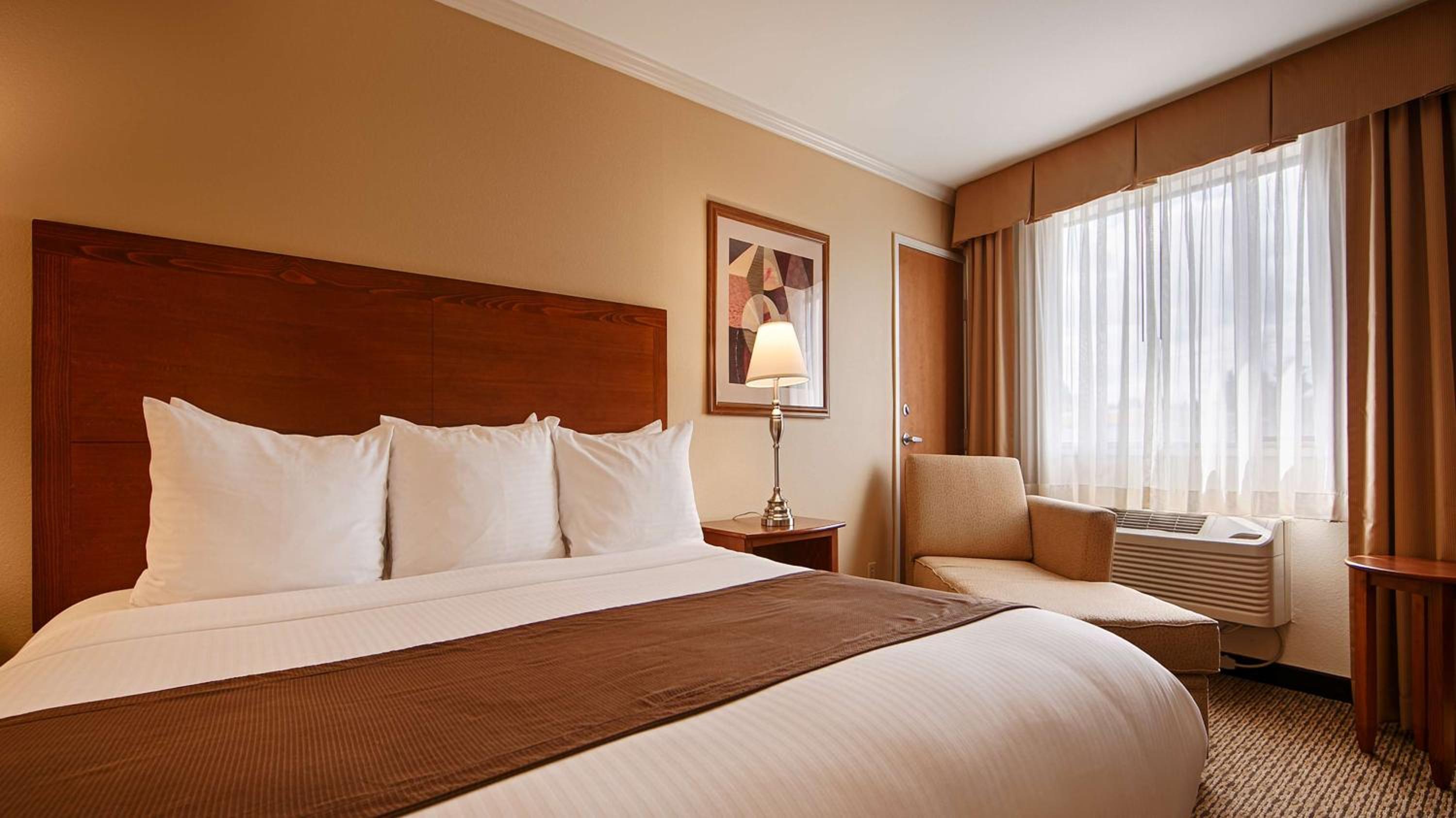 King Room photo 1