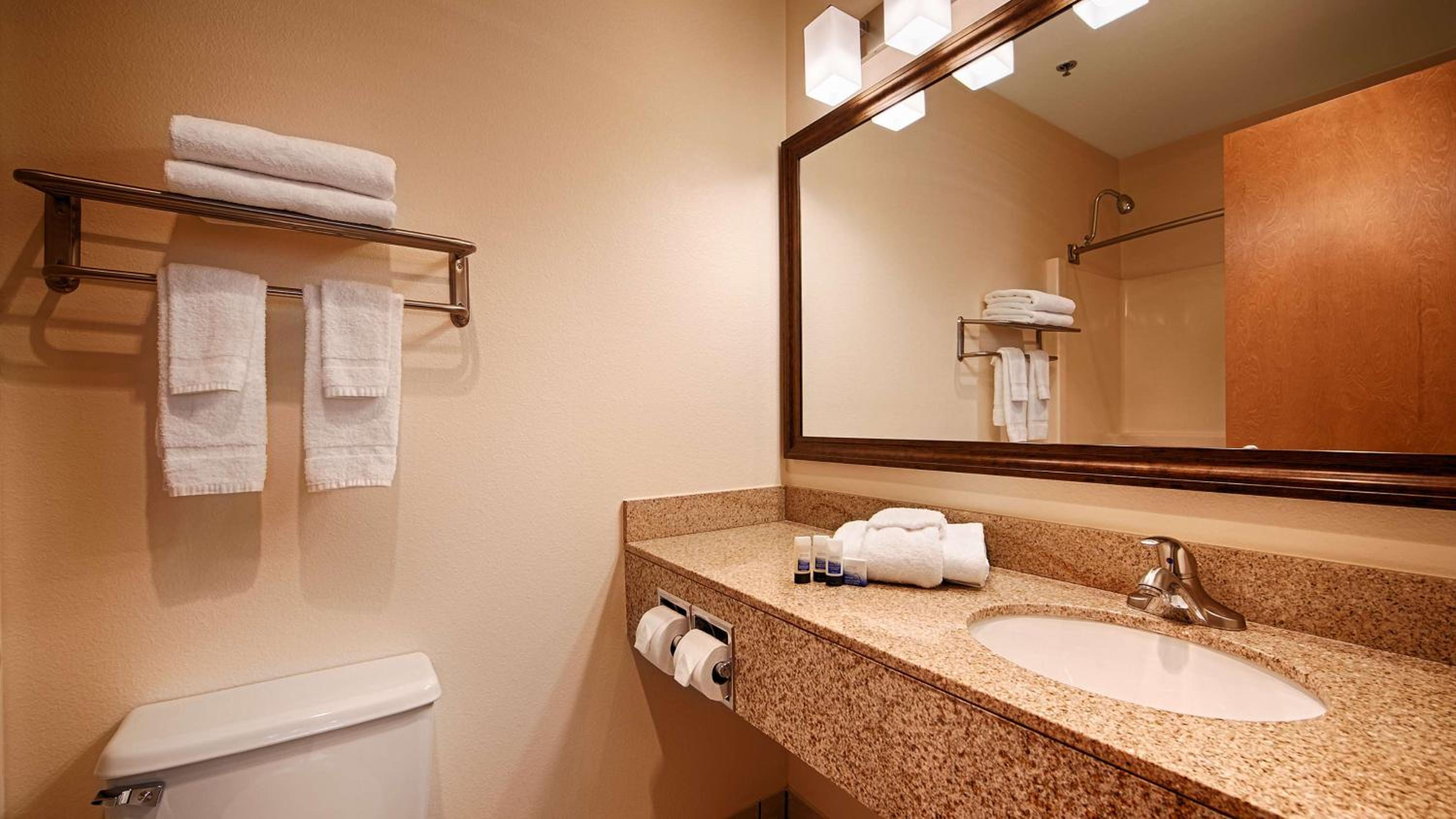 King Room - Pet-Friendly photo 3