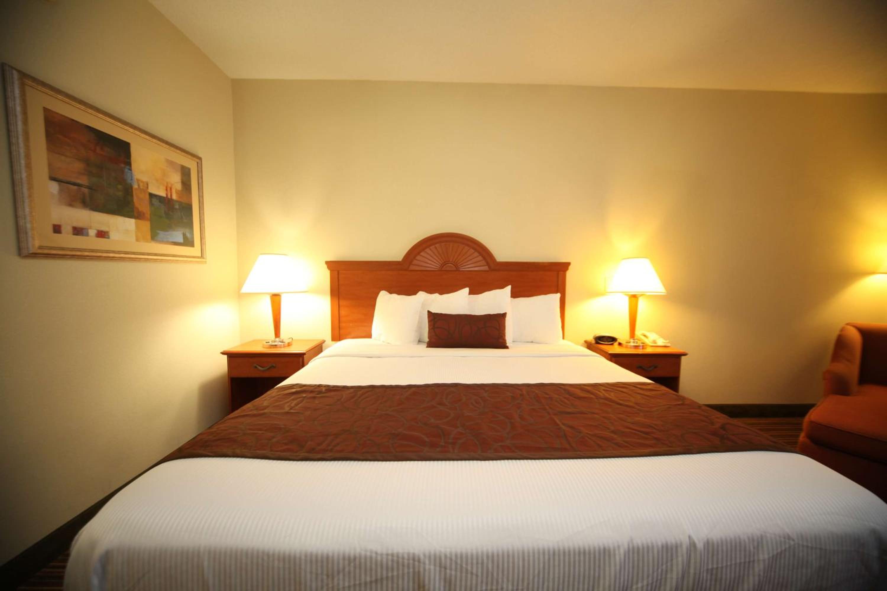 King Room - Non-Smoking - Photo 4