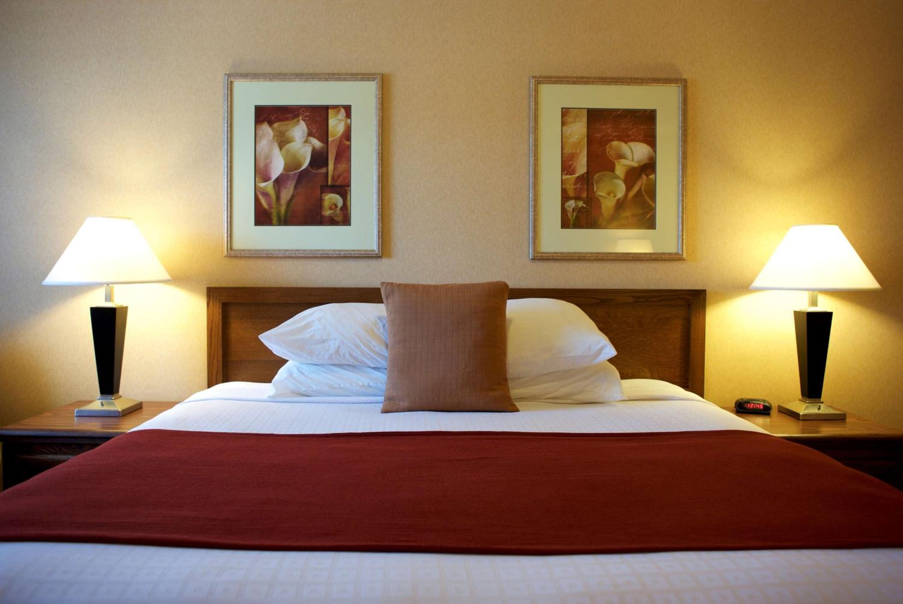 King Suite with Sofa Bed, Spa Bath and Wet Bar - Non-Smoking - Photo 4