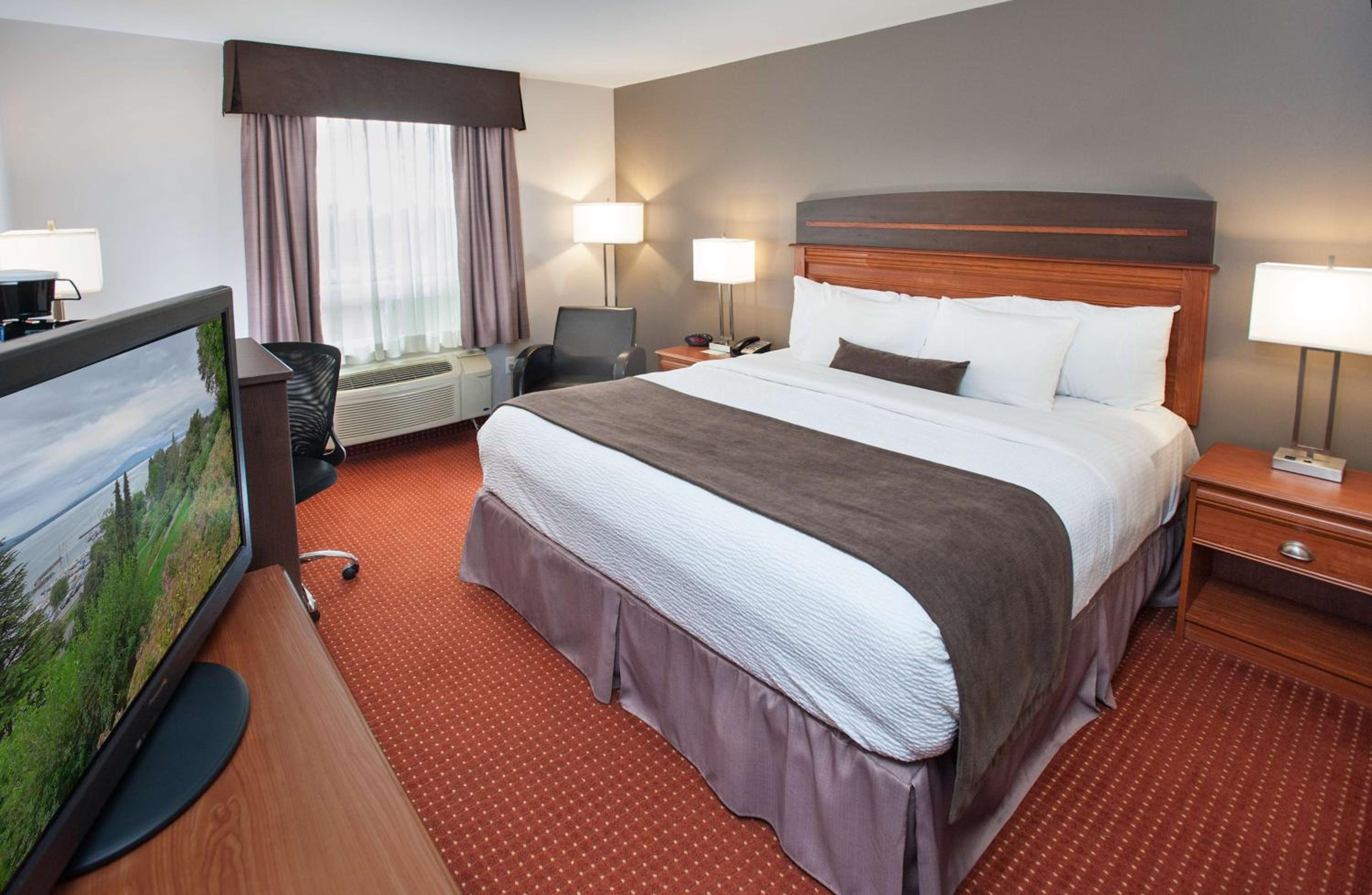 Double Room with Roll-in Shower and Sofa Bed - Disability Access/Non-Smoking photo 1