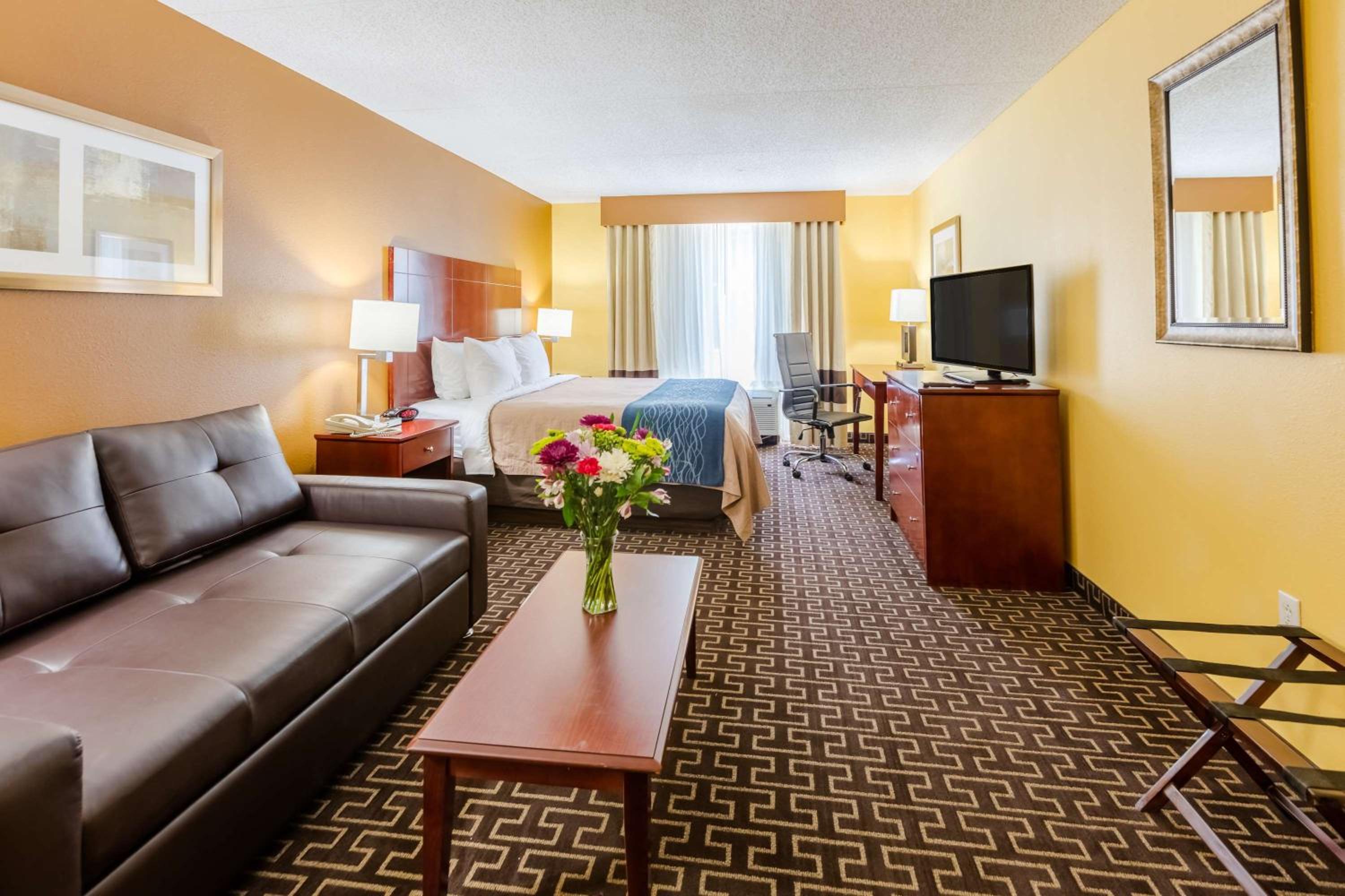 King Suite with Sofa Bed - Non-Smoking - Photo 7