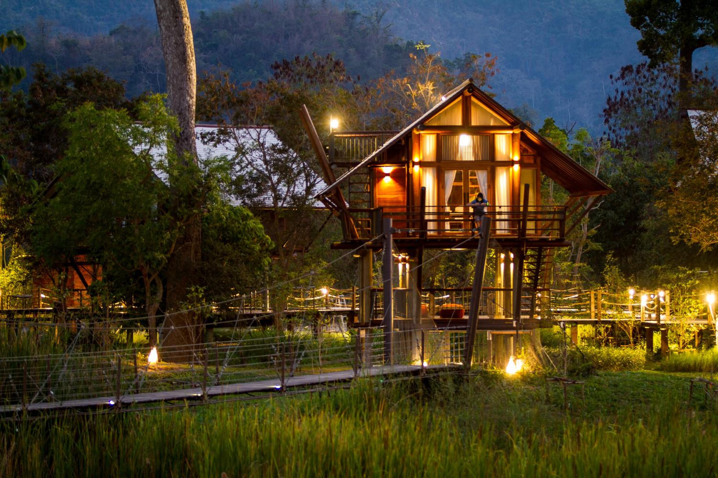 Loft Tree House photo 2