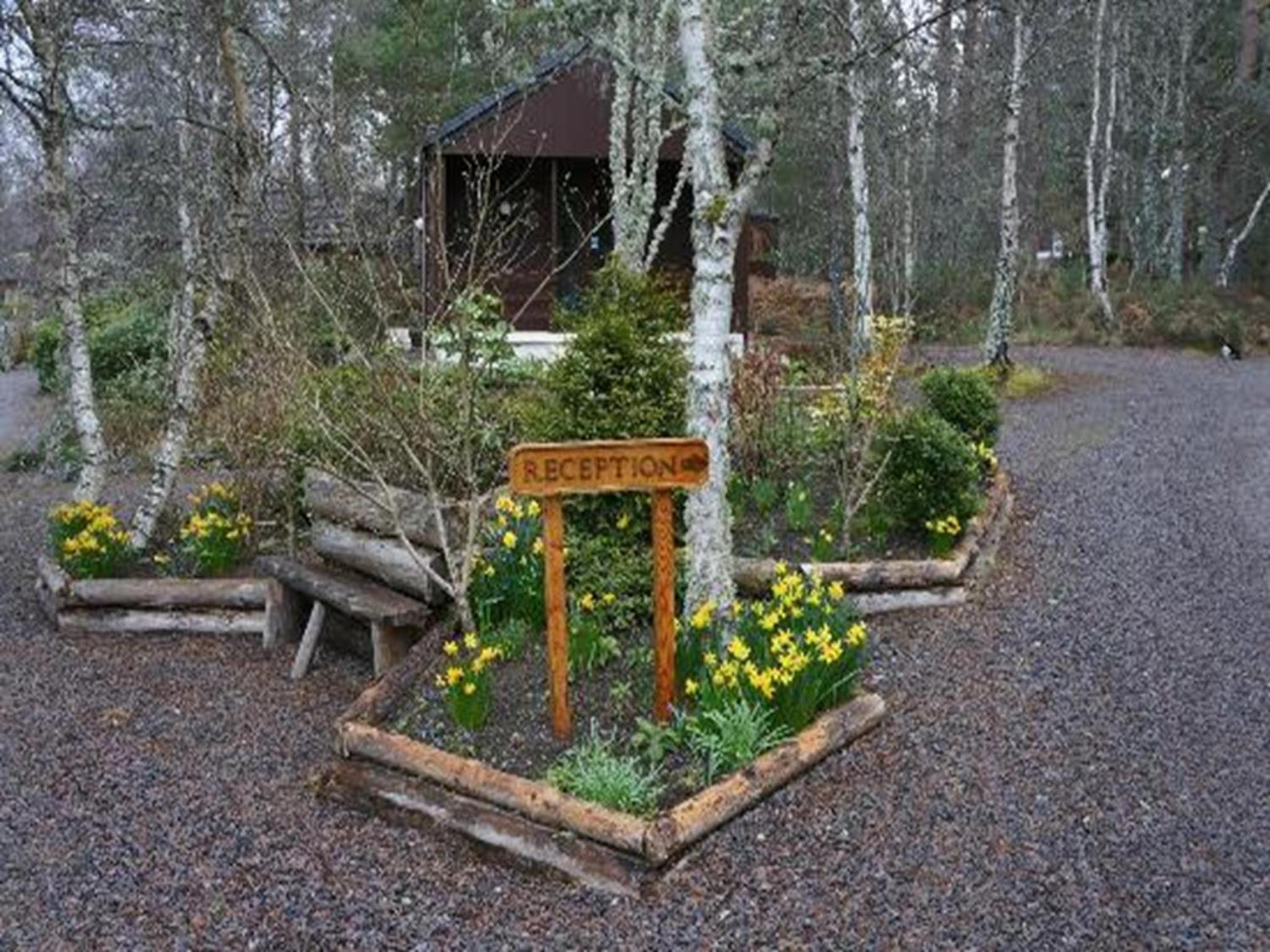 Tullochwood Lodges, Billede 14