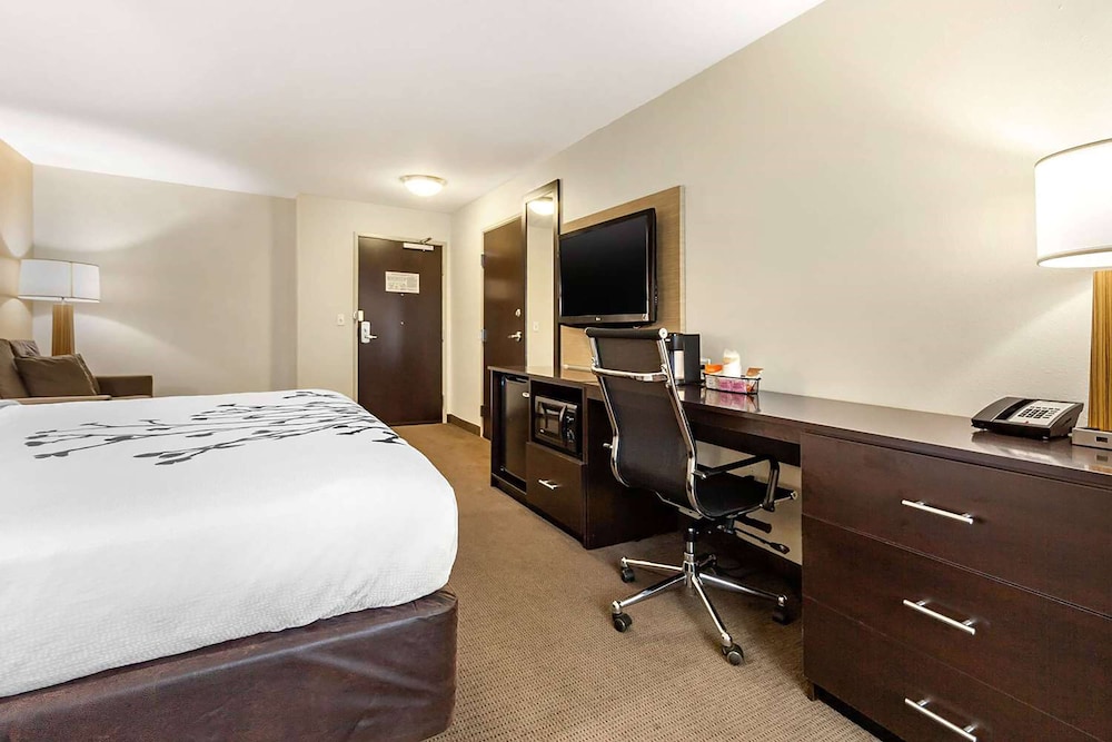 Room, 1 King Bed, Mobility Accessible, Non Smoking (Hearing, Roll-in Shower) - Photo 2