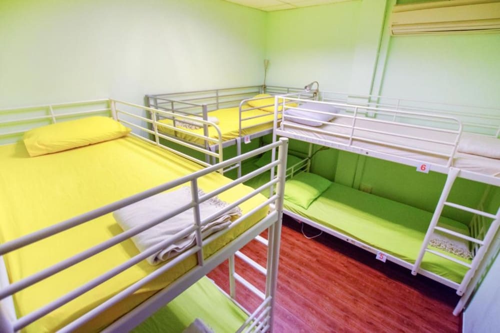Single Bed in 6-Bed Mixed Room photo 1