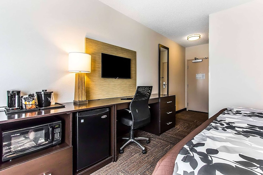 Room, 1 King Bed, Mobility Accessible, Non Smoking (Hearing, Roll-in Shower) - Photo 1