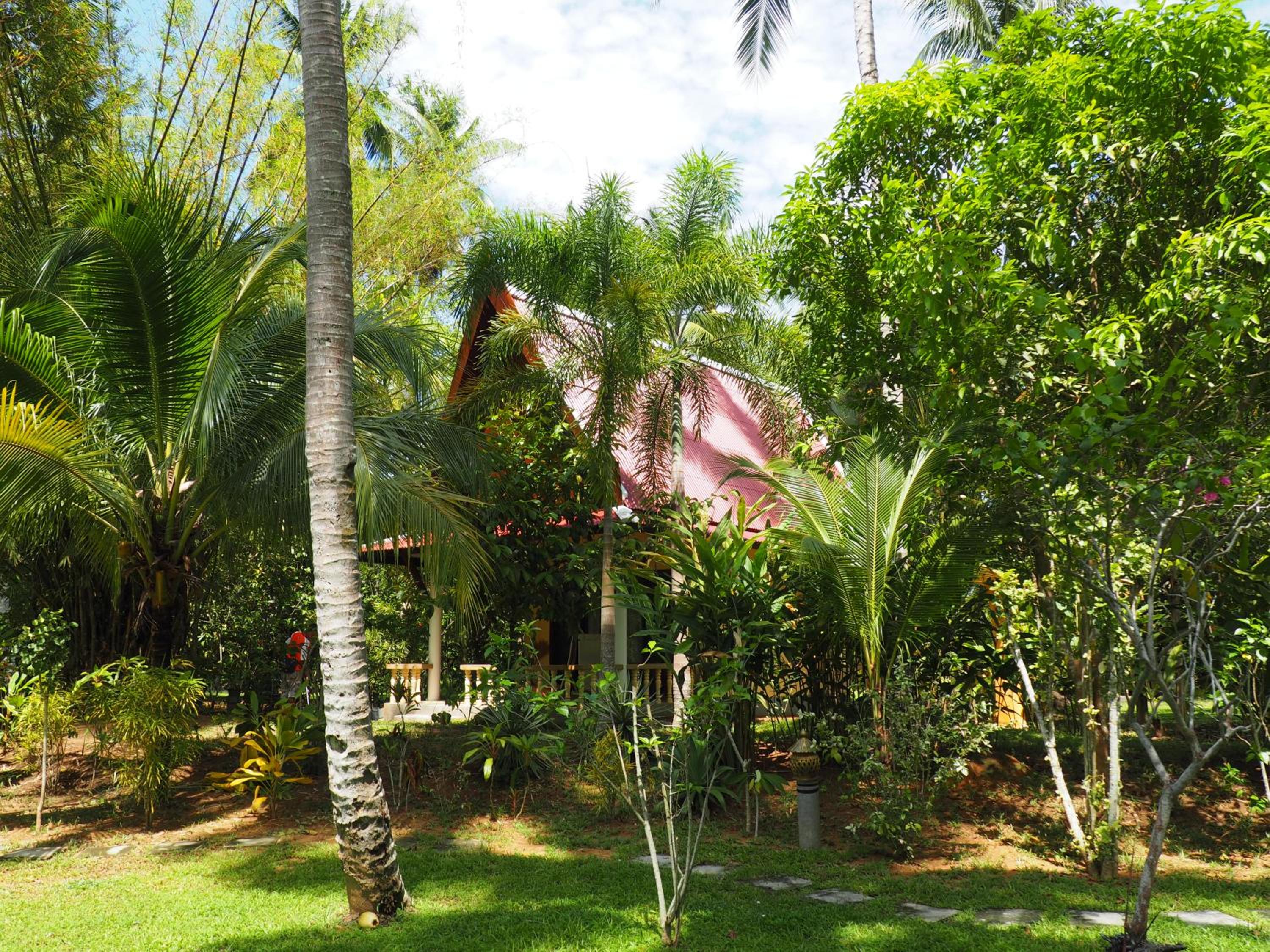 Deluxe Bungalow photo 2