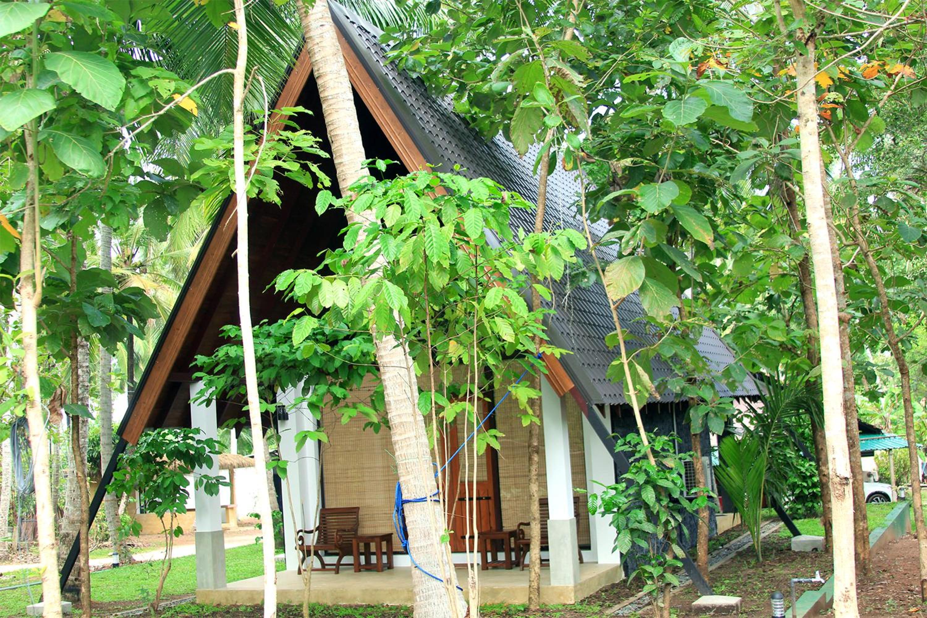 Deluxe Bungalow photo 2