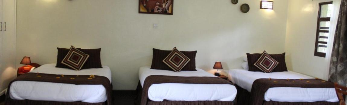 Triple Room photo 1