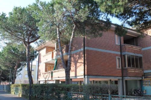 Apartment with Terrace photo 1