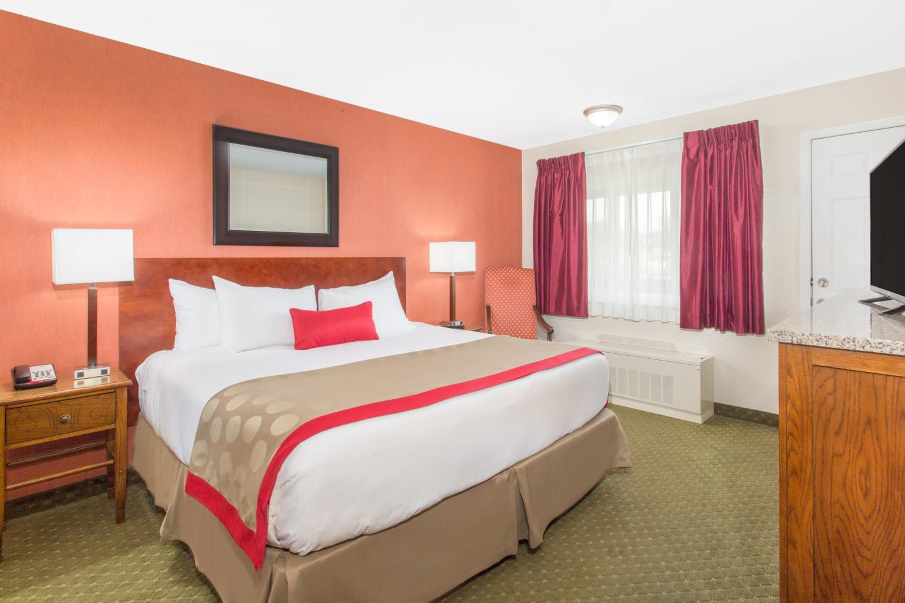 Standard King Room with One King Bed and Courtyard View photo 2