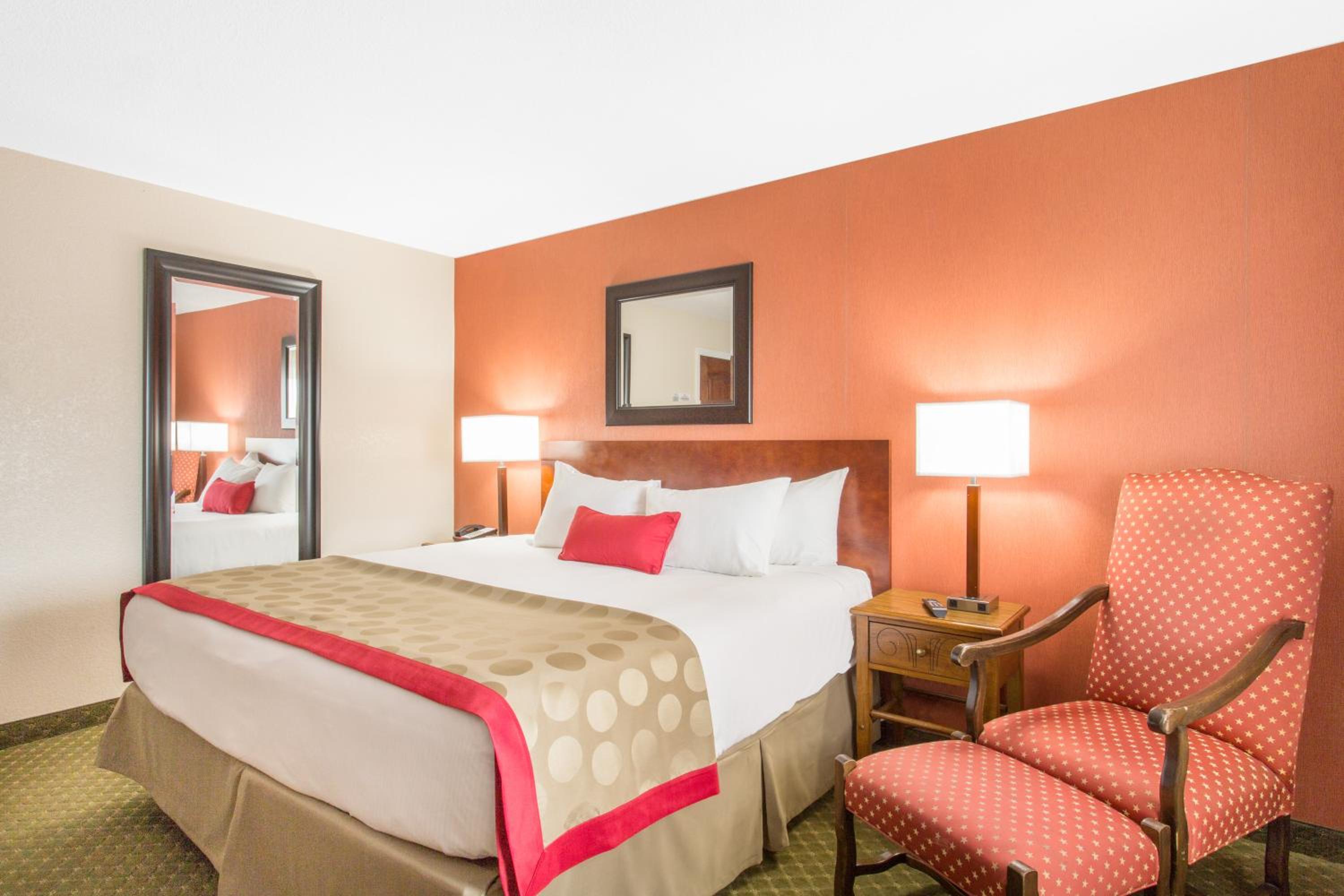 Standard King Room with One King Bed and Courtyard View photo 3