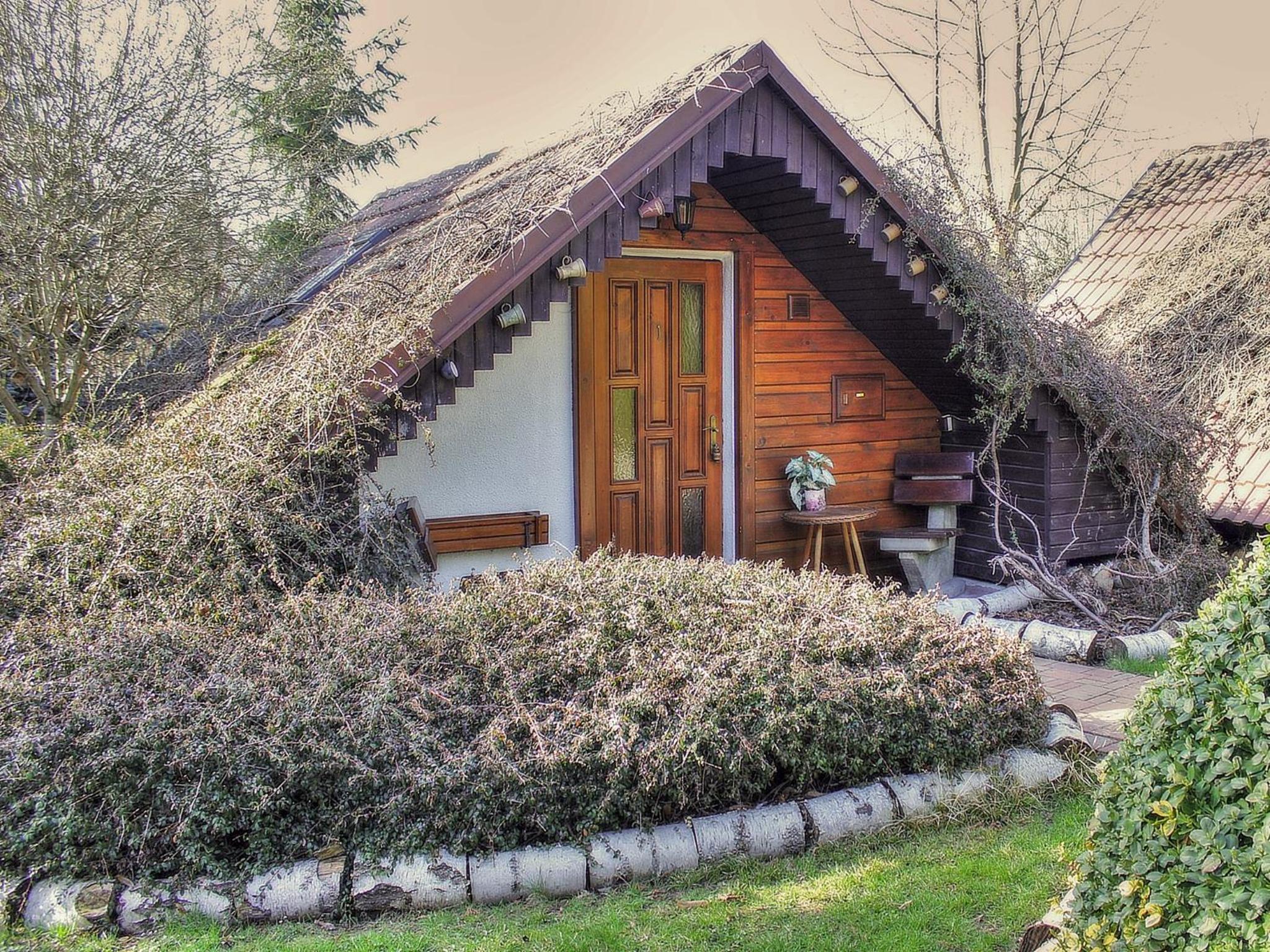 One-Bedroom Chalet photo 1