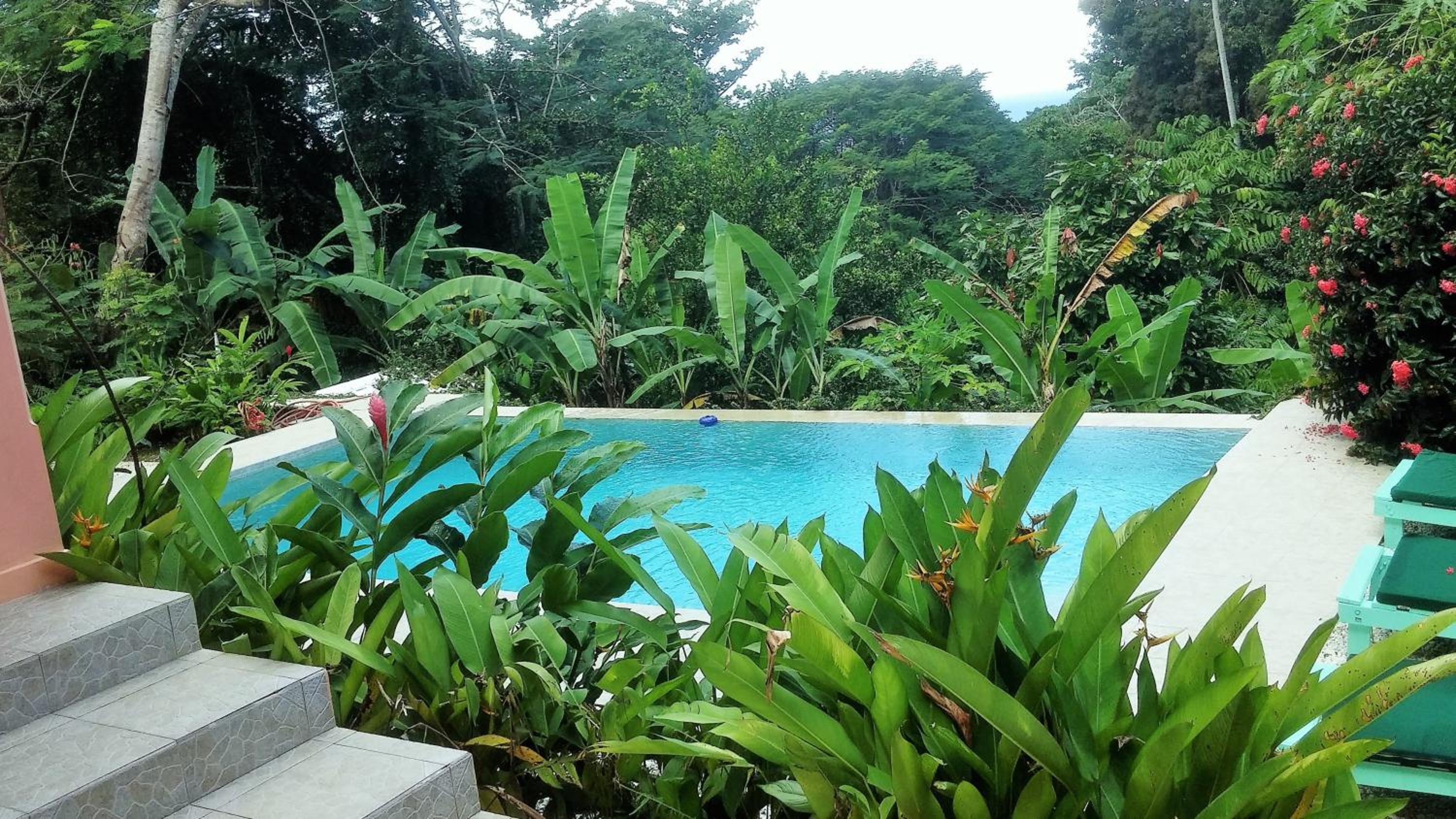 Villa photo 2
