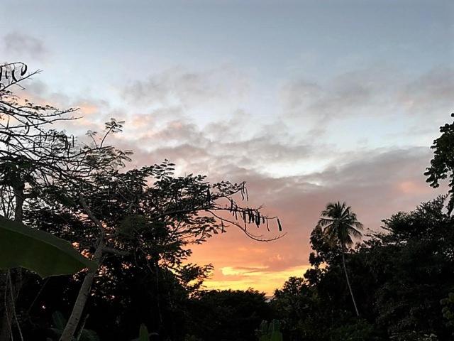 Superior Villa photo 3
