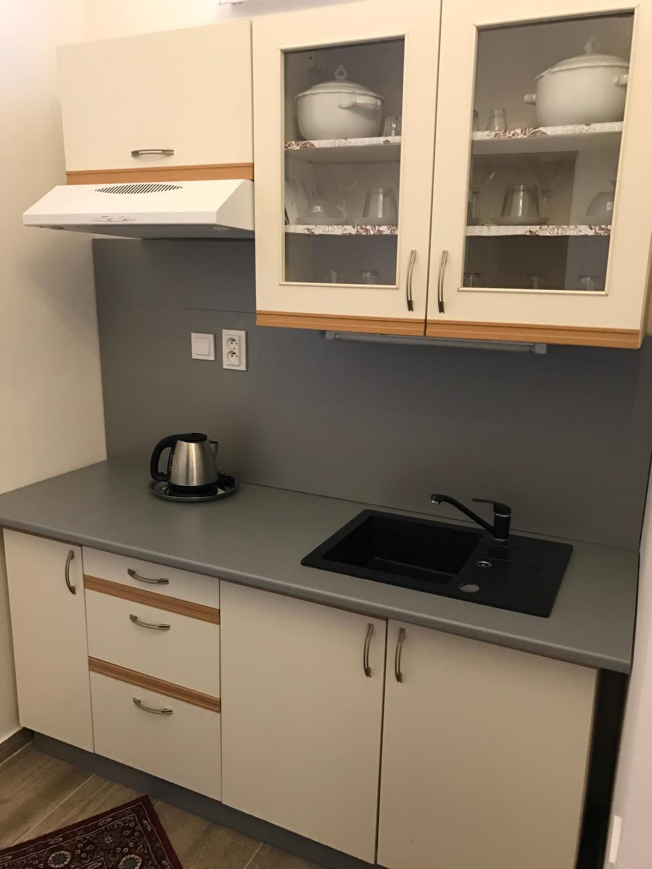 Deluxe Apartment with Kitchen - Photo 12